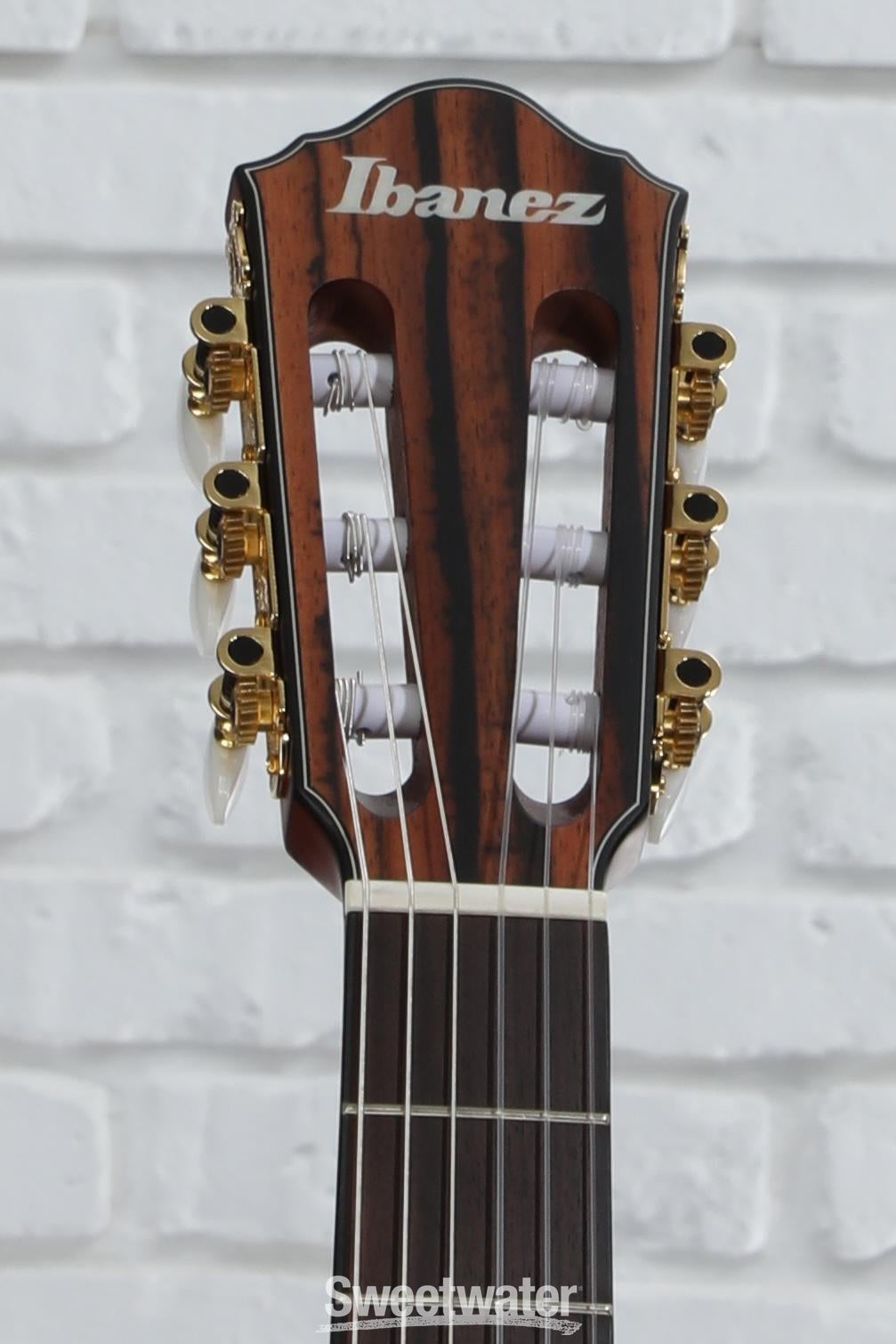 Ibanez エレガット FRH10N-IBF Amazon.com: Ibanez FRH10N Thinline Nylon Acoustic-electric