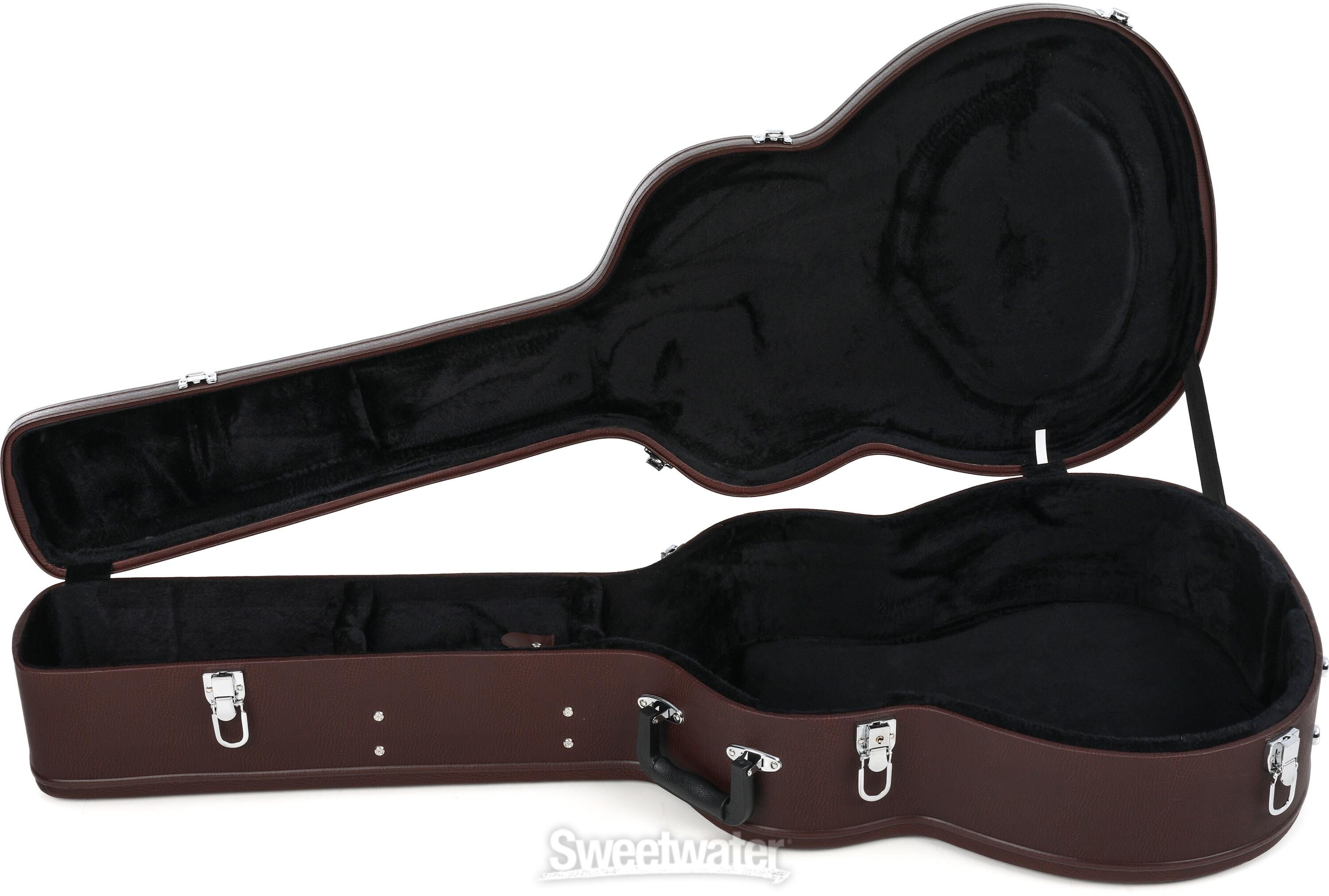 Washburn guitar deals case