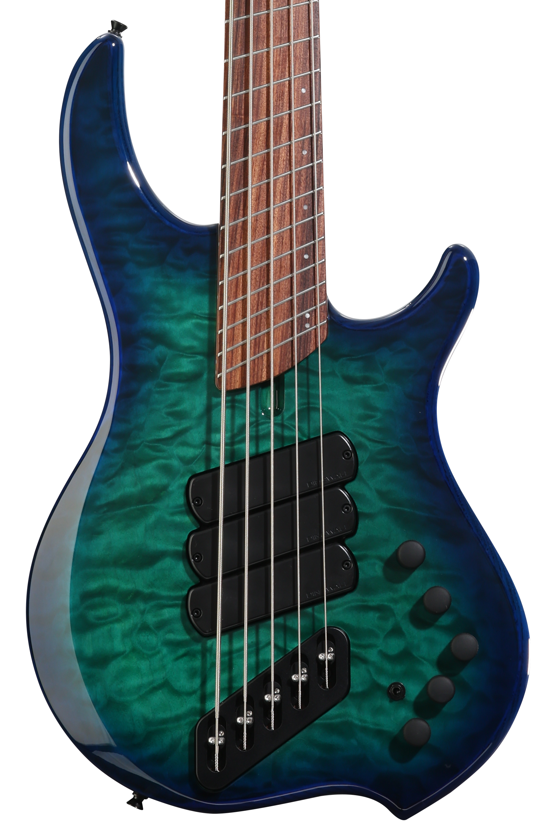 Strandberg Boden Bass Prog 5 - Brown | Sweetwater