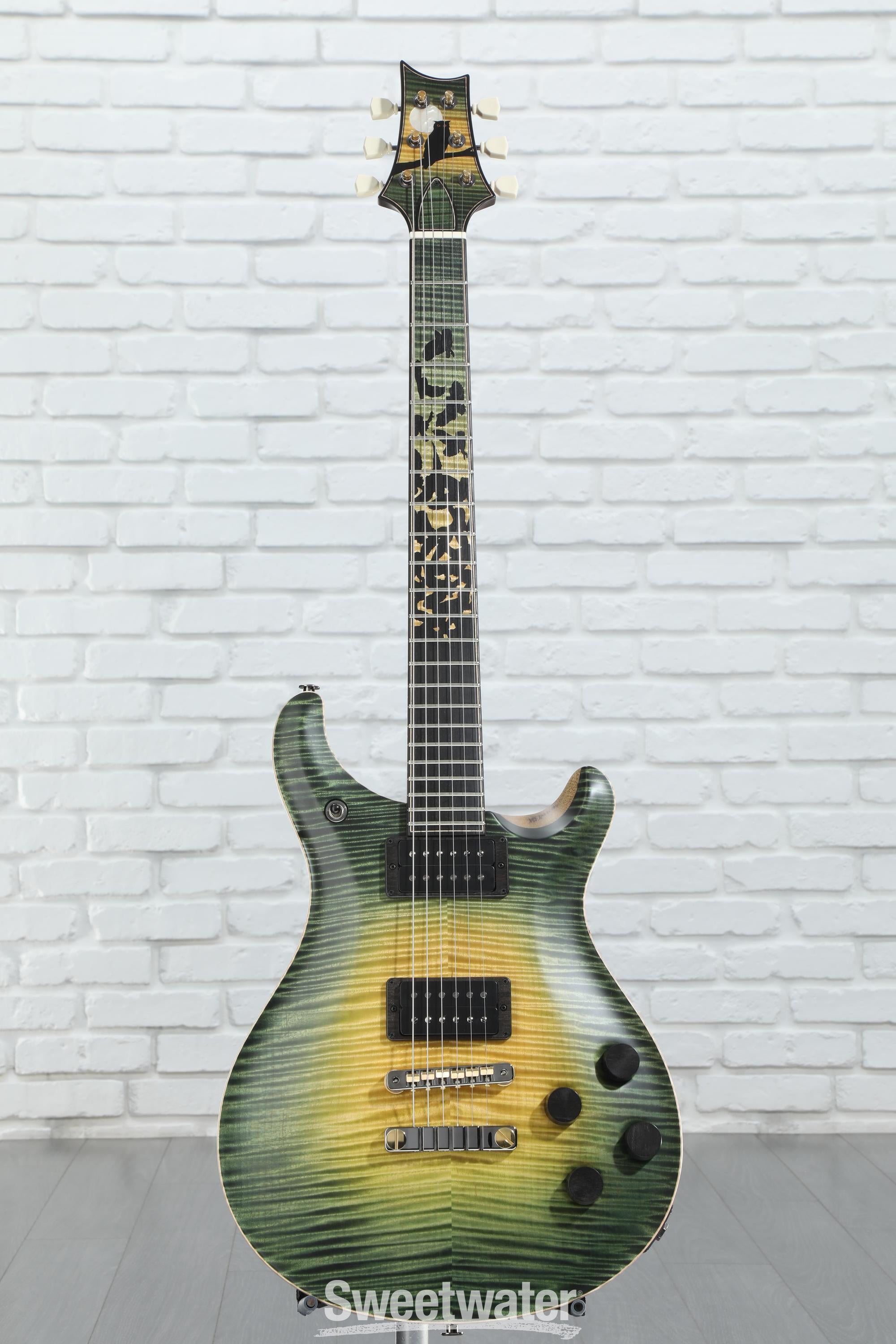 PRS Private Stock #11435 McCarty 594 Electric Guitar - Owls in Flight -  Zombie Sky