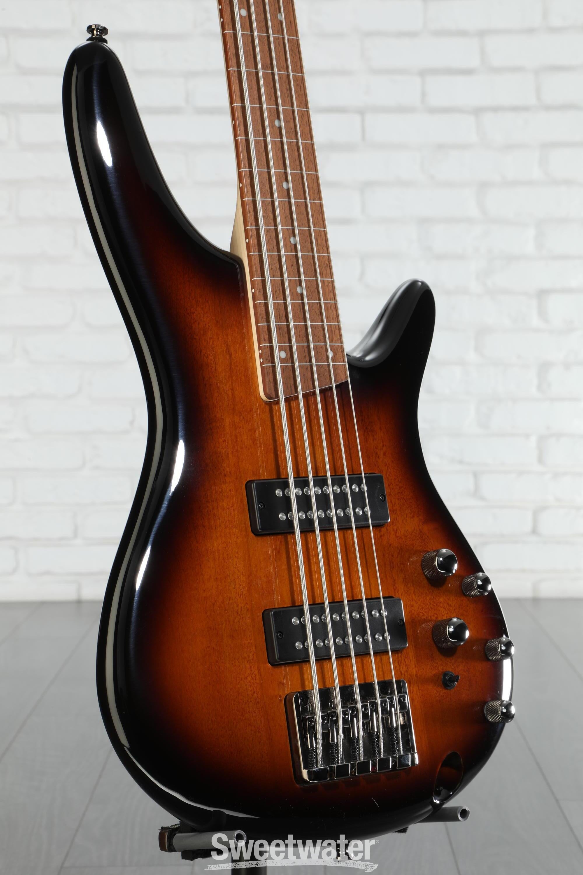 Ibanez SDGR 5弦ベース Amazon.com: Ibanez Standard SR305E 5-string Bass Guitar