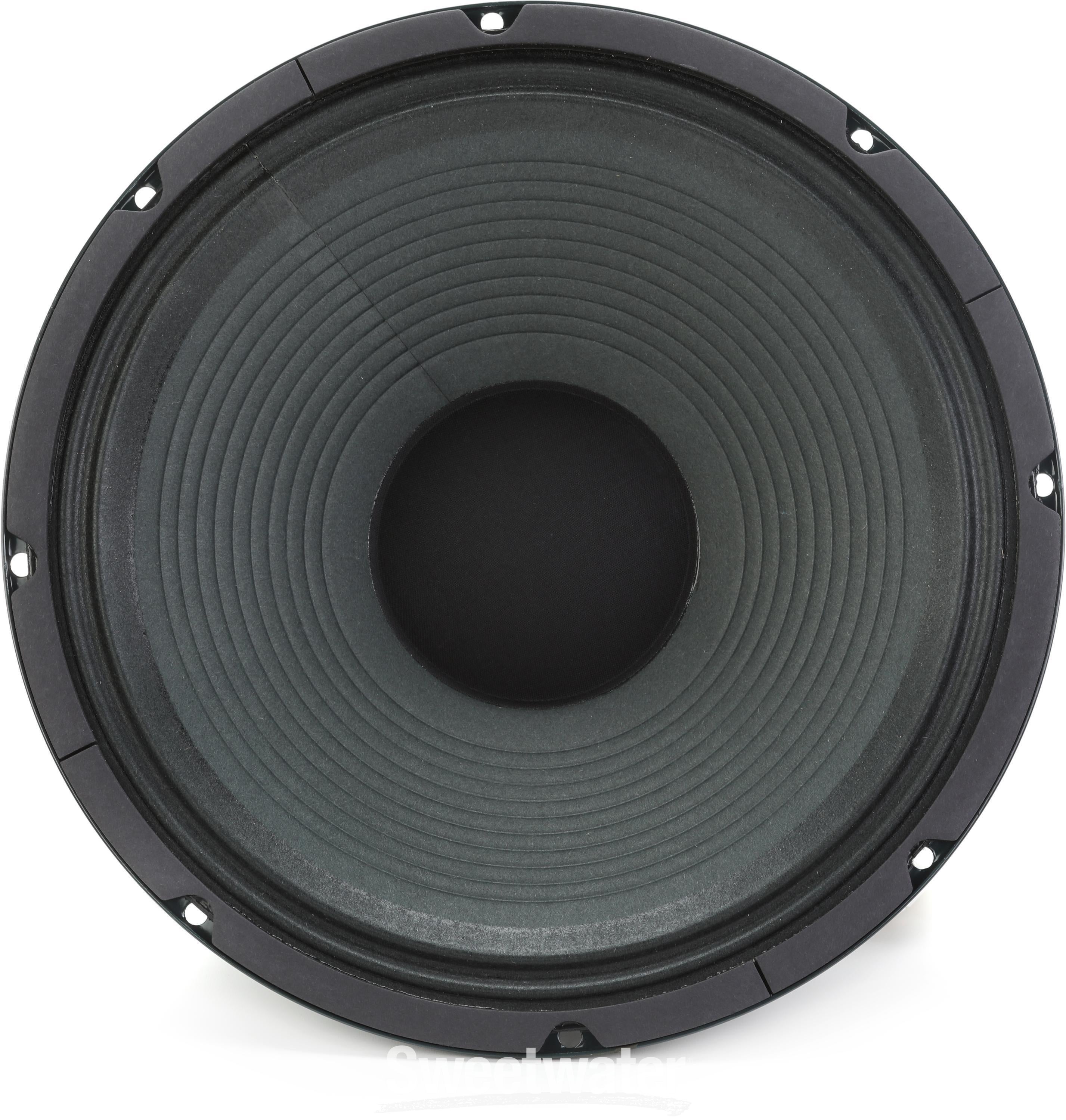 100 watt speaker 12 hot sale inch