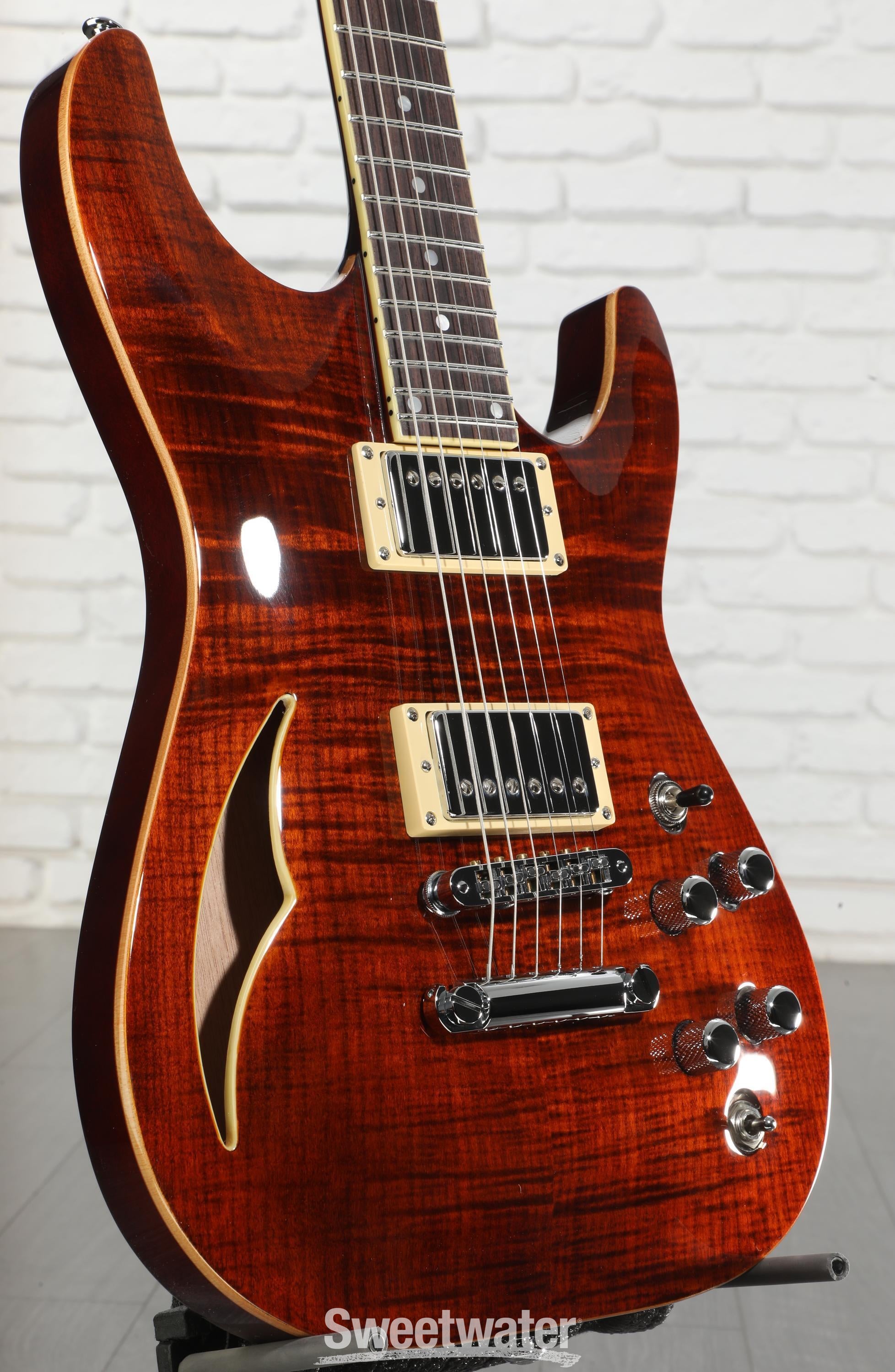 Schecter C-1 E/A Classic Semi-hollowbody Electric Guitar - Cats