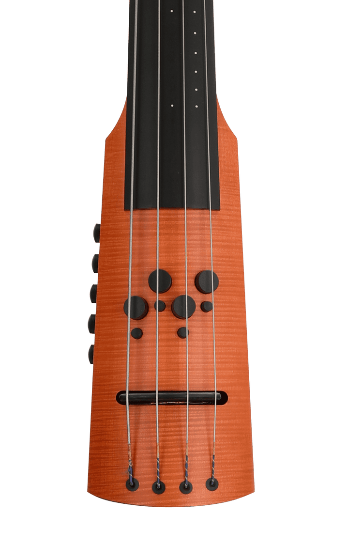 NS Design CR4M Upright Bass - Amber | Sweetwater