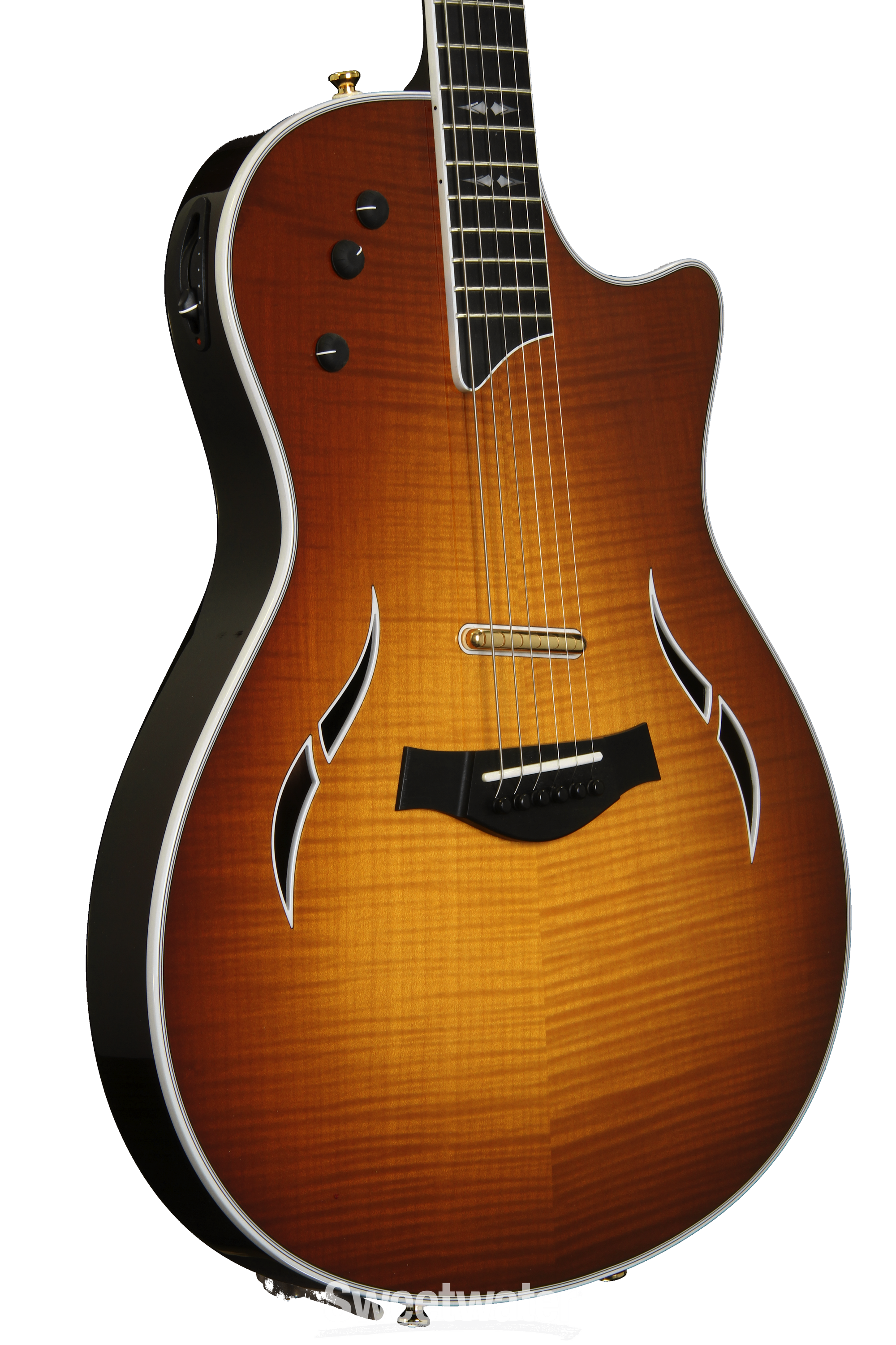 お得セールTaylor セミアコースティックギター　T-5 Custom　（EB） その他