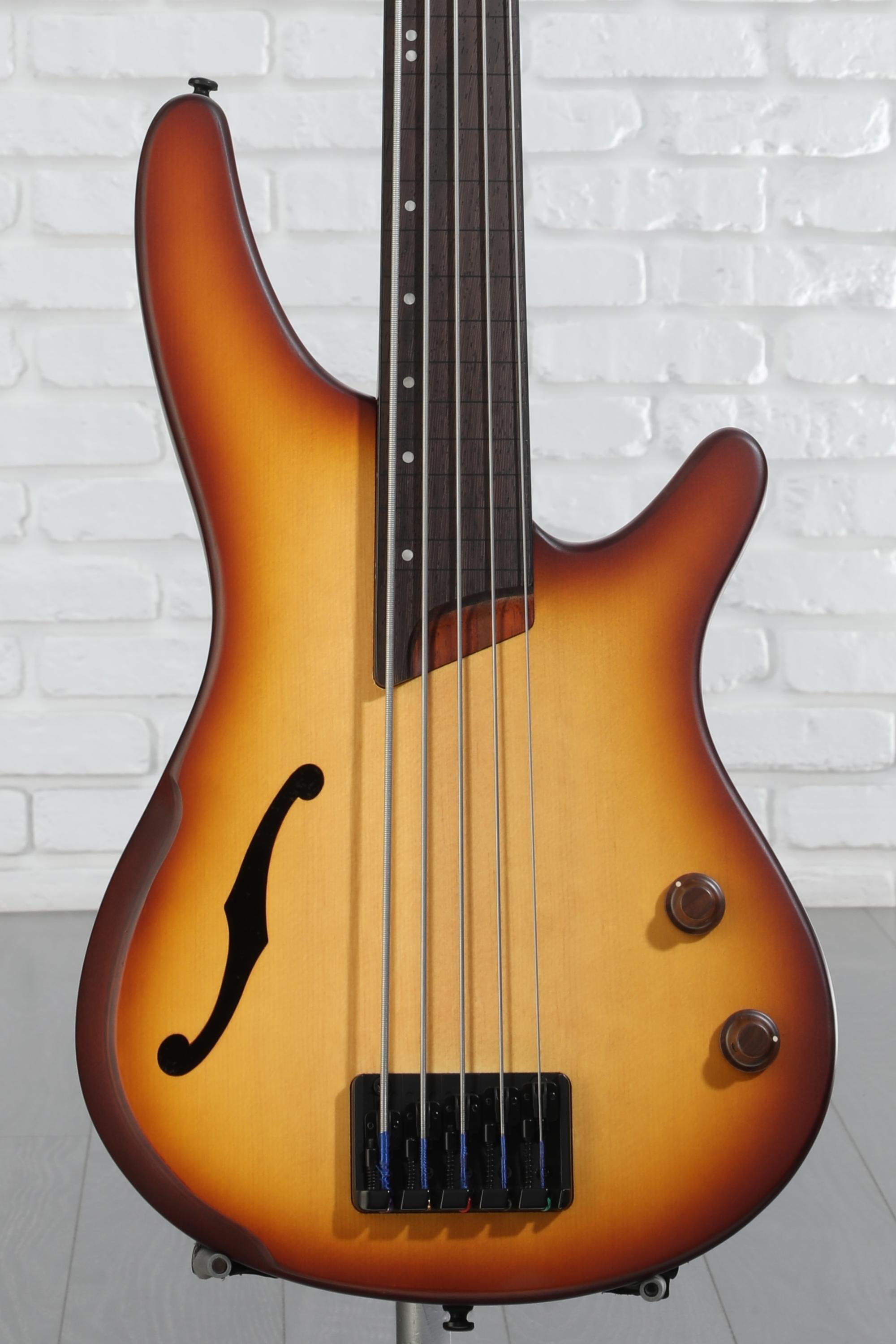 Amazon.com: Ibanez SRH505F Fretless - Natural Browned Burst