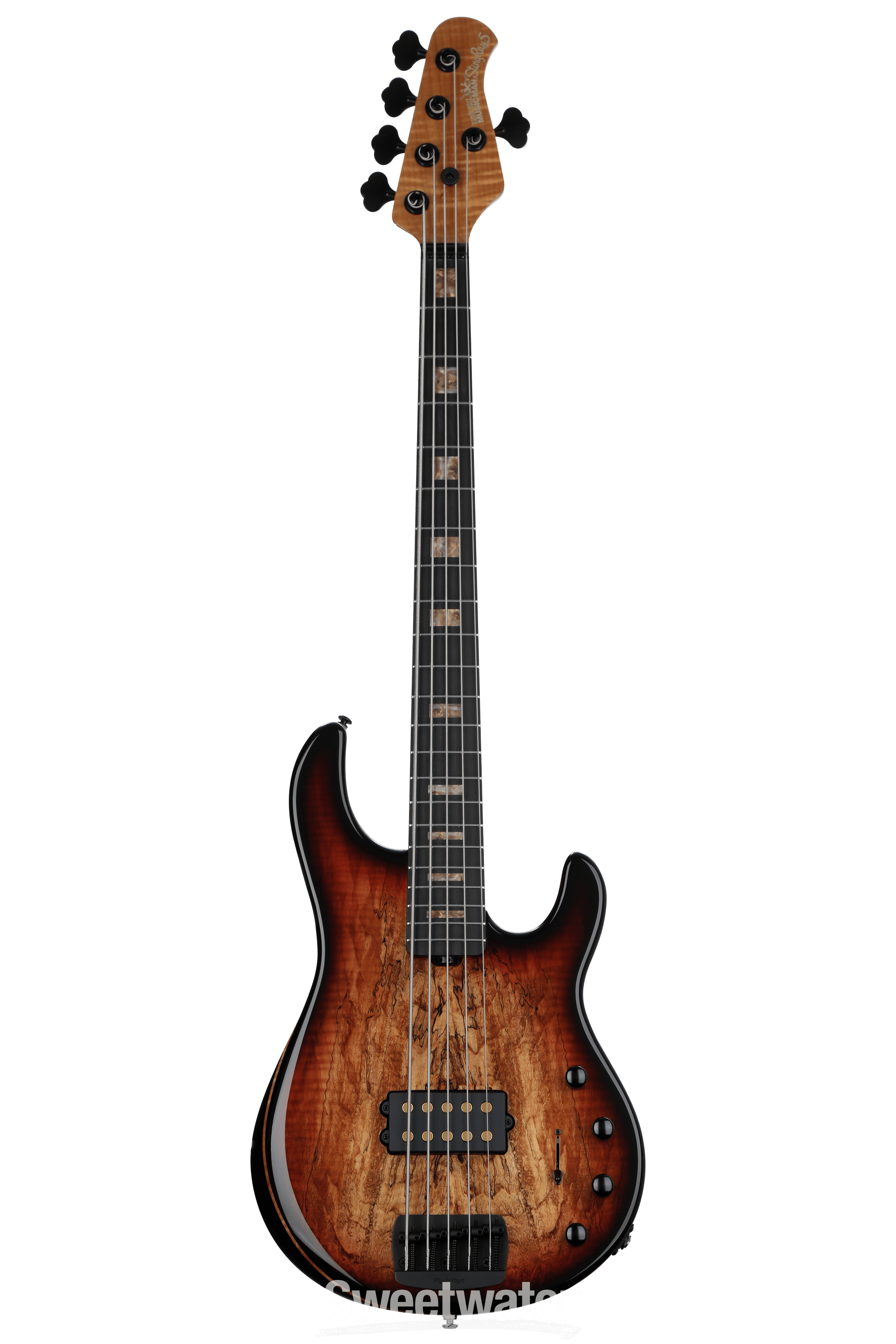 5th　Anniversary　Special　Edition“D//ear…” Platinum Ernie Ball Music Man 35th Anniversary StingRay 5 5