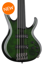 Photo of Ibanez Steve Di Giorgio SDGB1 Signature 5-string Fretless Bass Guitar - Dark Moss Burst