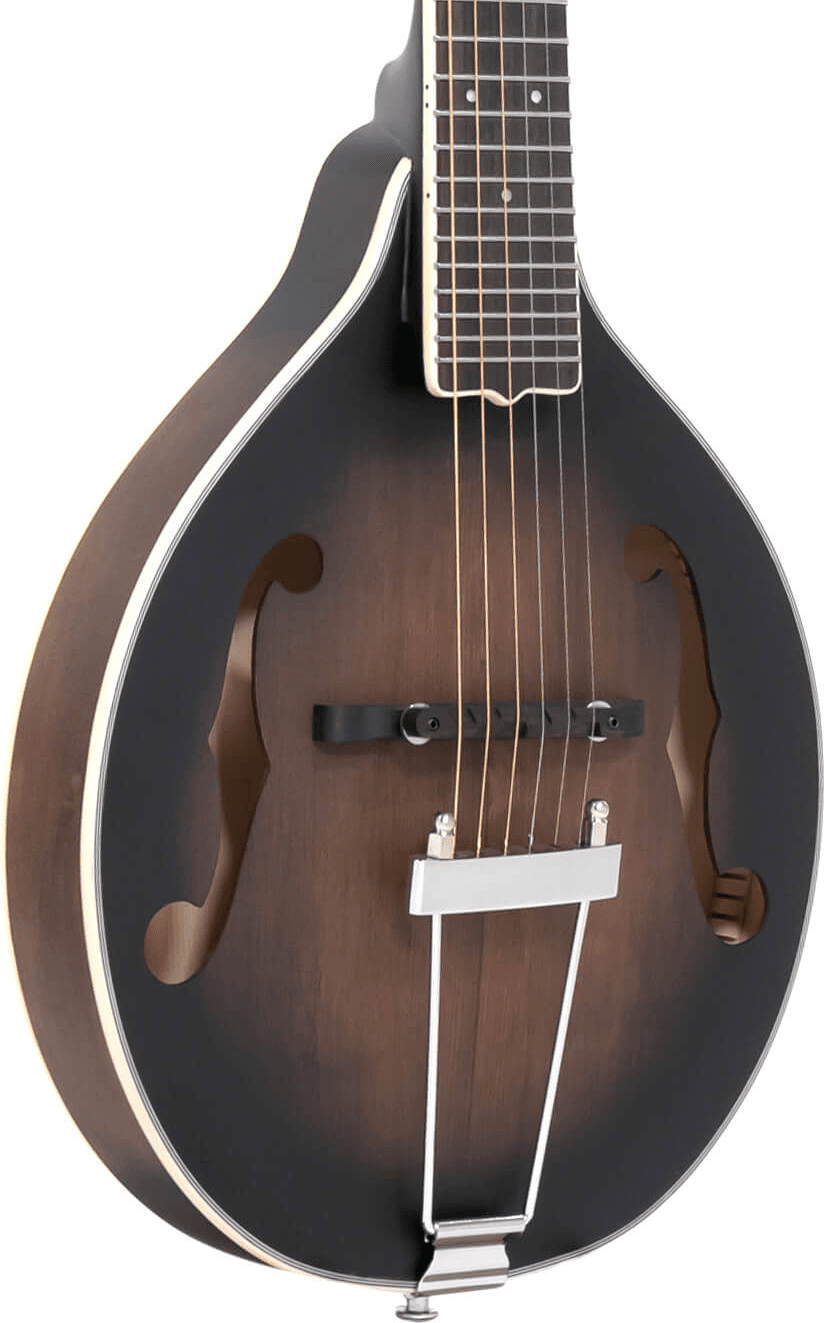 Gold Tone A 6 A style Mando Guitar Tobacco Sunburst Satin