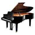 Photo of Yamaha DC7X ENPRO Disklavier Enspire Pro Grand Piano - Polished Ebony
