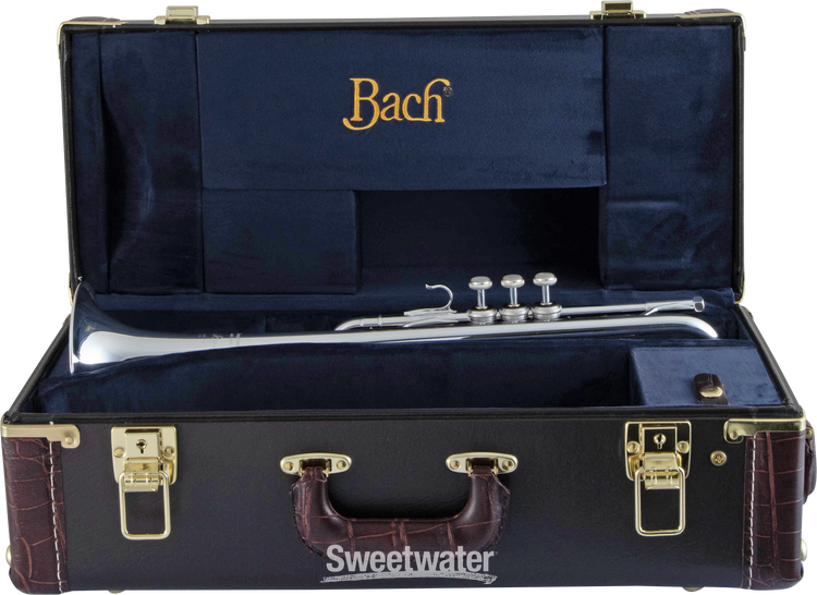BACH 2000