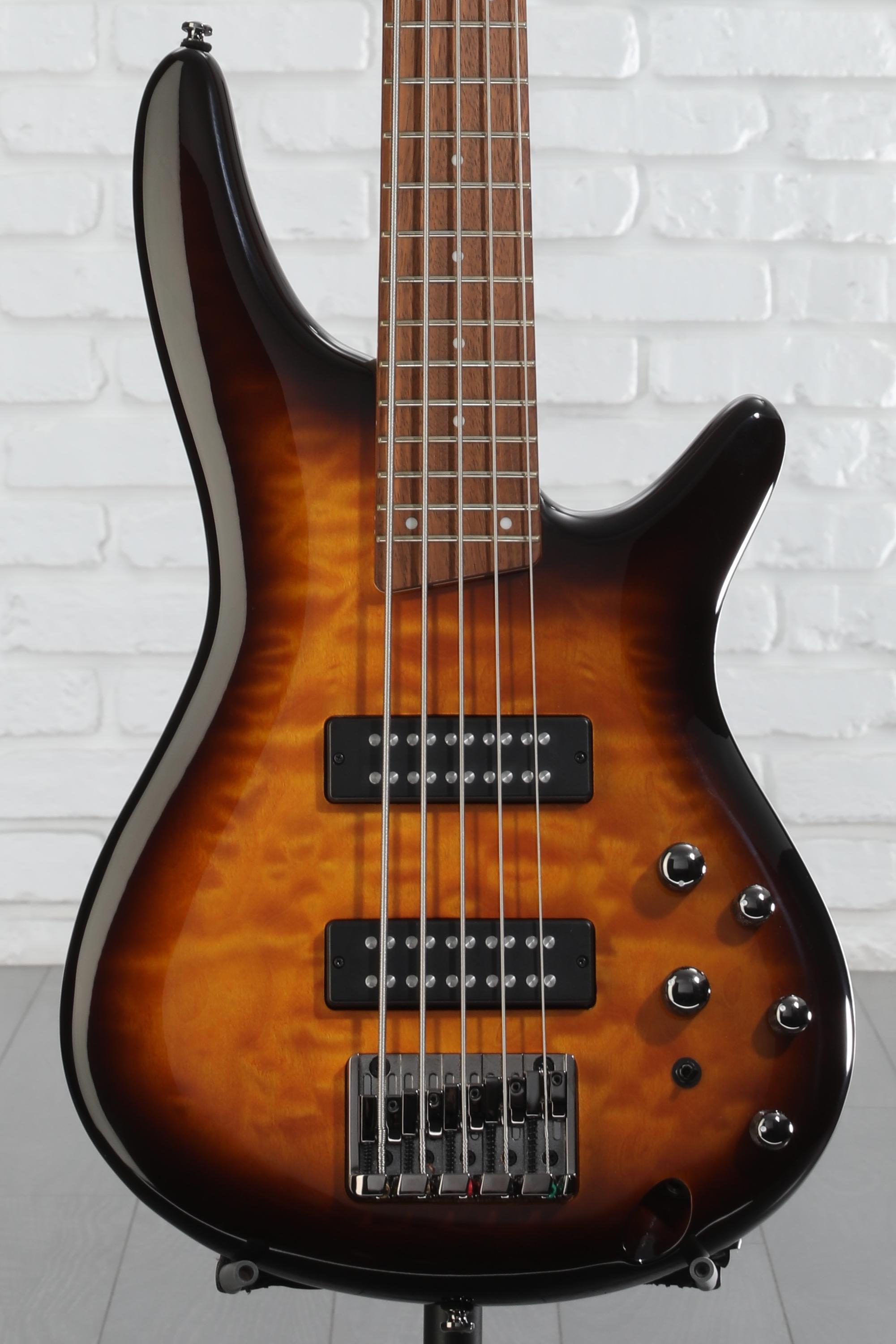 Ibanez Standard SR405E 5-string Bass Guitar - Dragon Eye