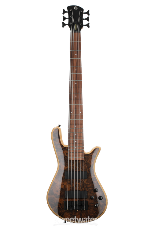 Spector Legend 6 Classic Bass Guitar - Natural Walnut Burl Gloss |  Sweetwater