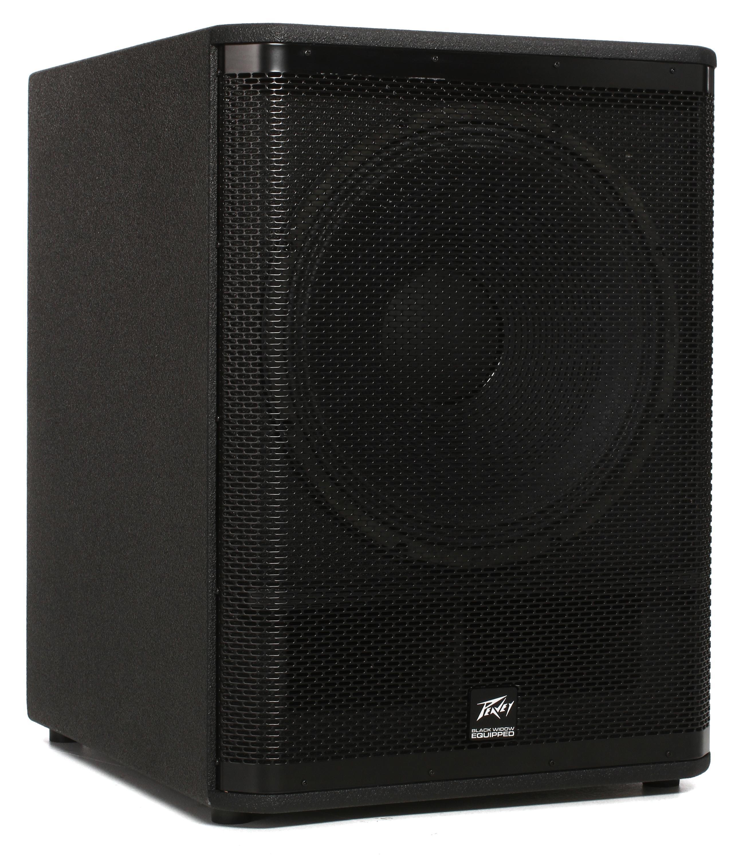 Peavey dm 118 hot sale sub