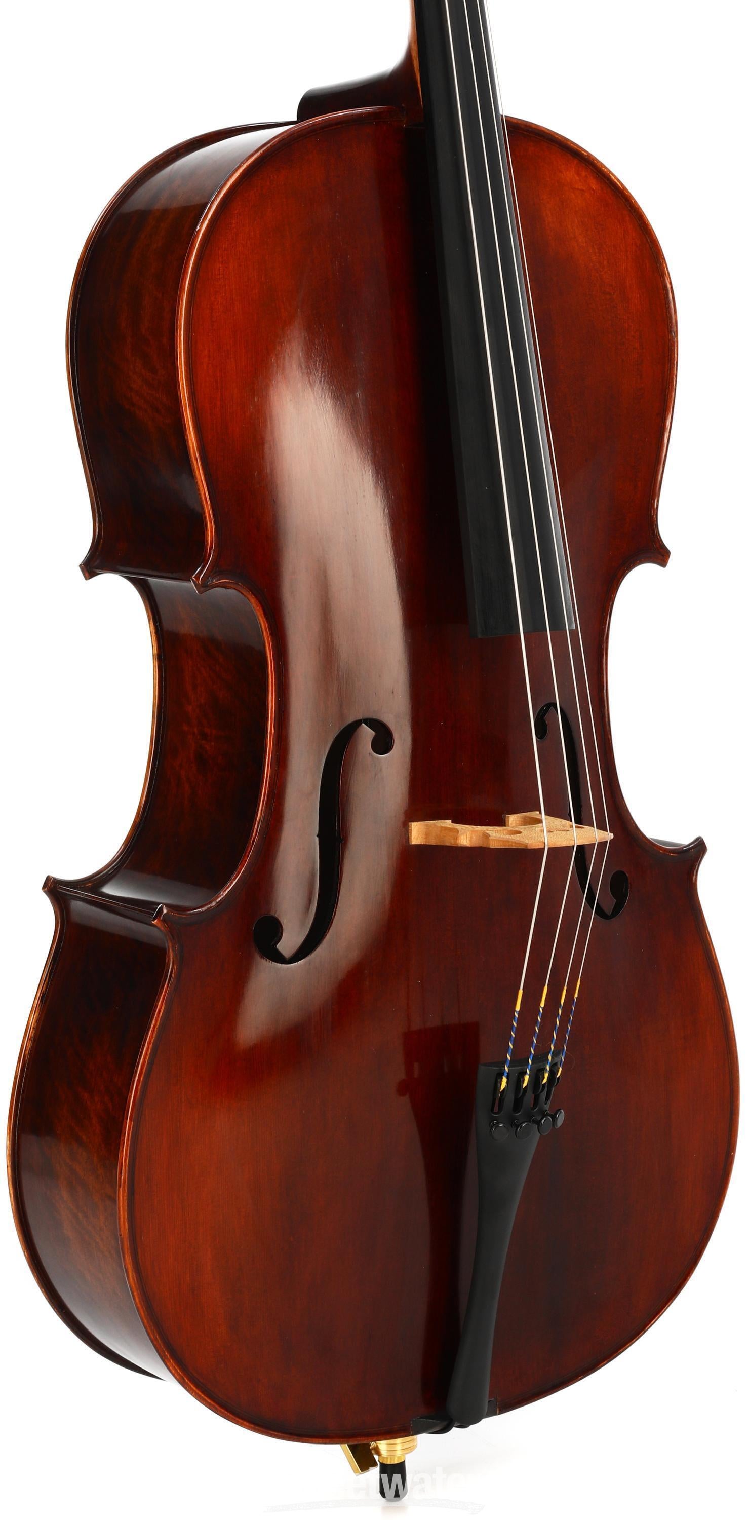 Eastman VC305 Andreas Eastman Intermediate Cello - 3/4 Size
