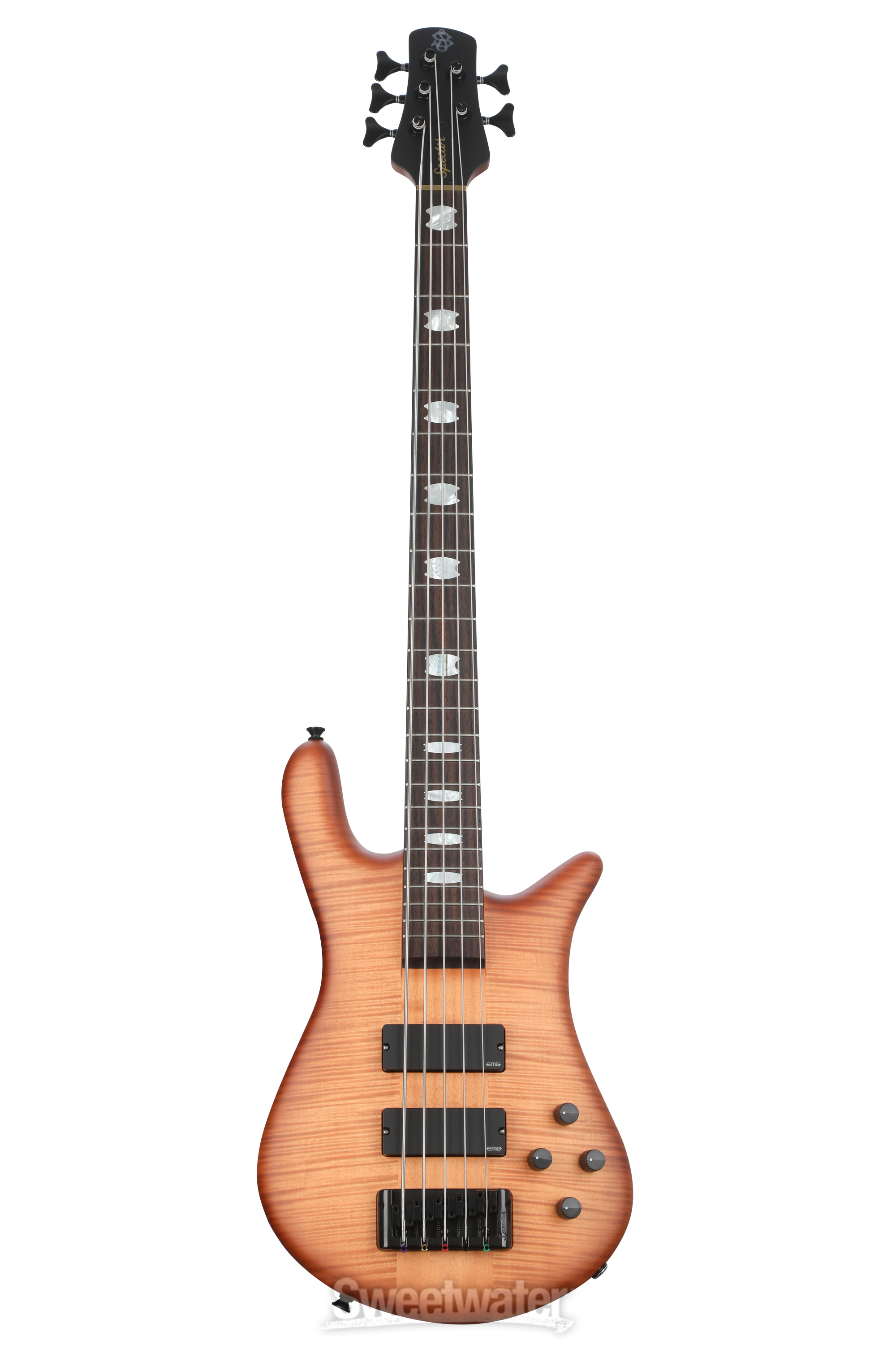 ベース Spector euro 5 lx Euro5 LX - Spector Bass
