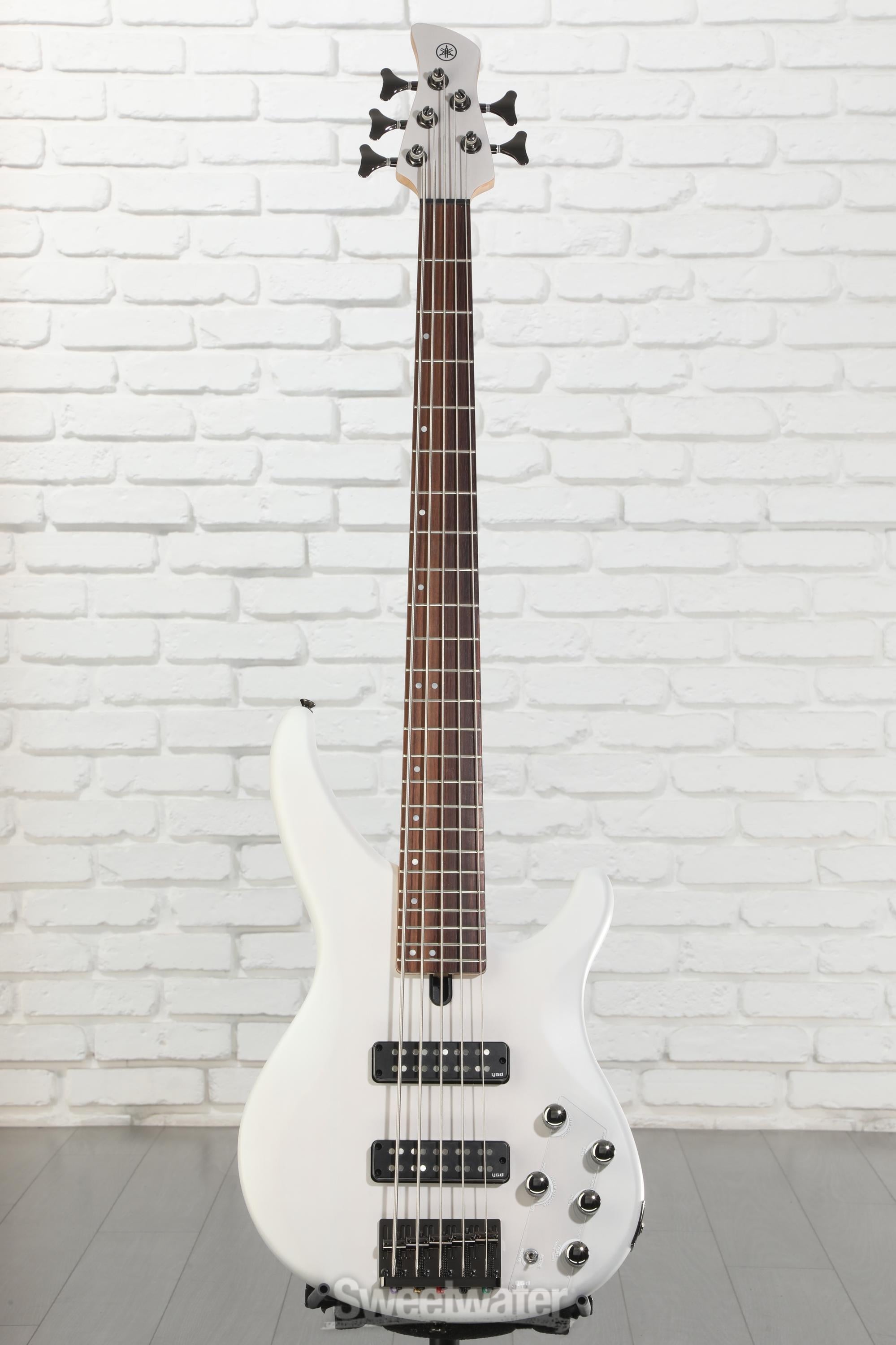 Yamaha TRBX505 5-string Bass Guitar - Translucent White | Sweetwater