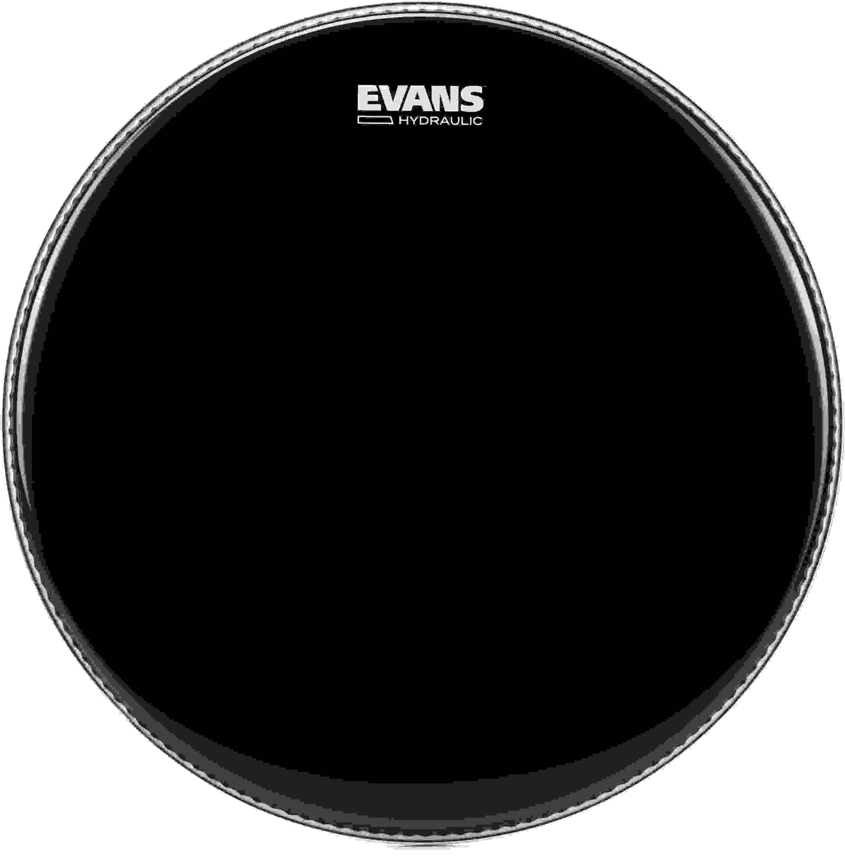 Evans Hydraulic Black Drumhead - 16 inch