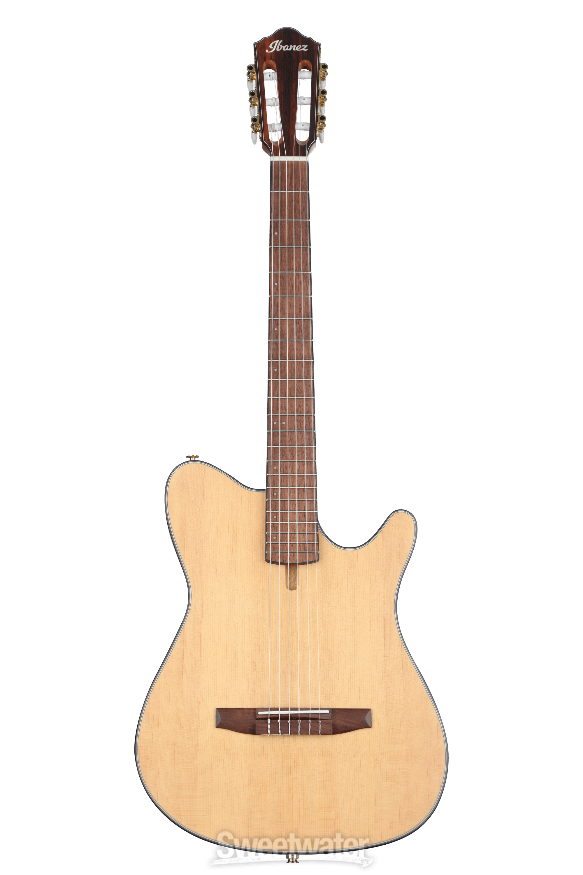 Ibanez nylon deals electric