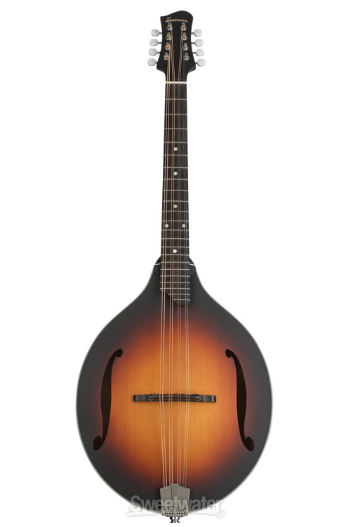 Eastman MDO305 Classic Octave Mandolin & Gigbag – Elderly