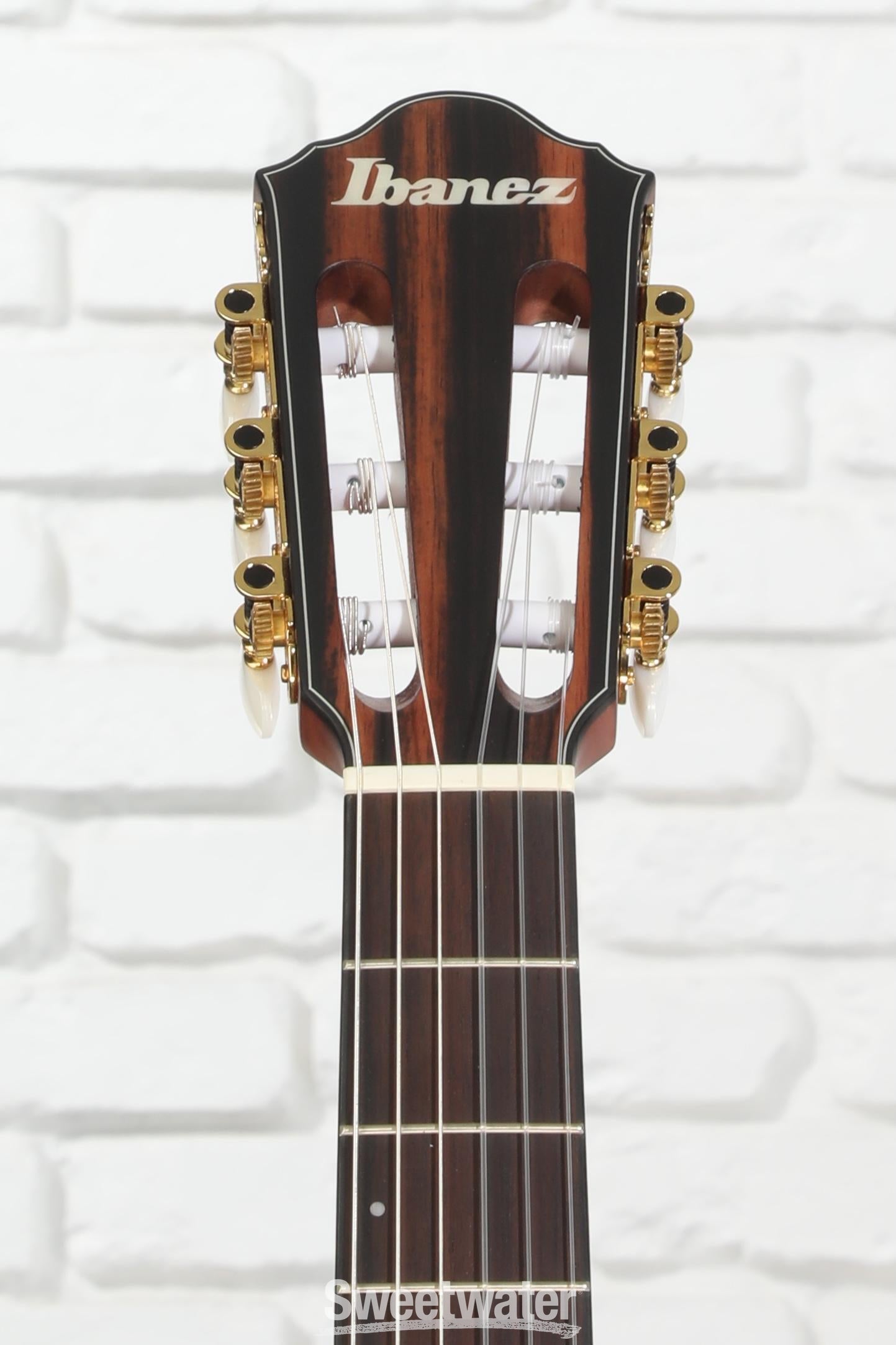 Ibanez FRH10N Thinline Nylon Acoustic-electric Guitar - Brown