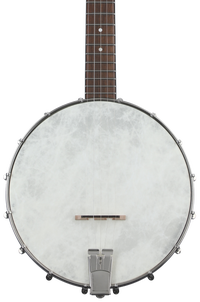 Recording King Dirty 30s Open-back Banjo