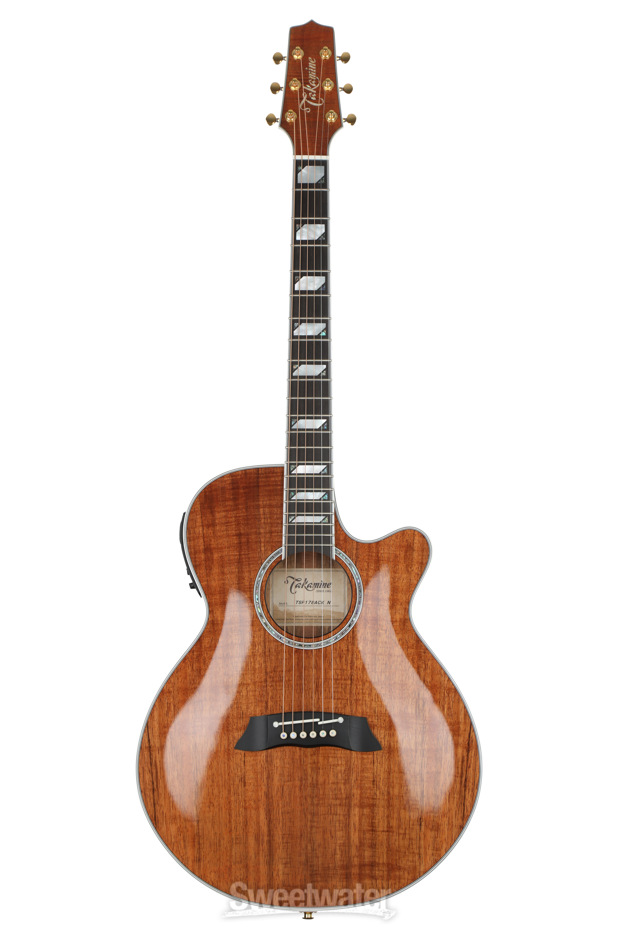 Takamine thinline online acoustic electric guitar
