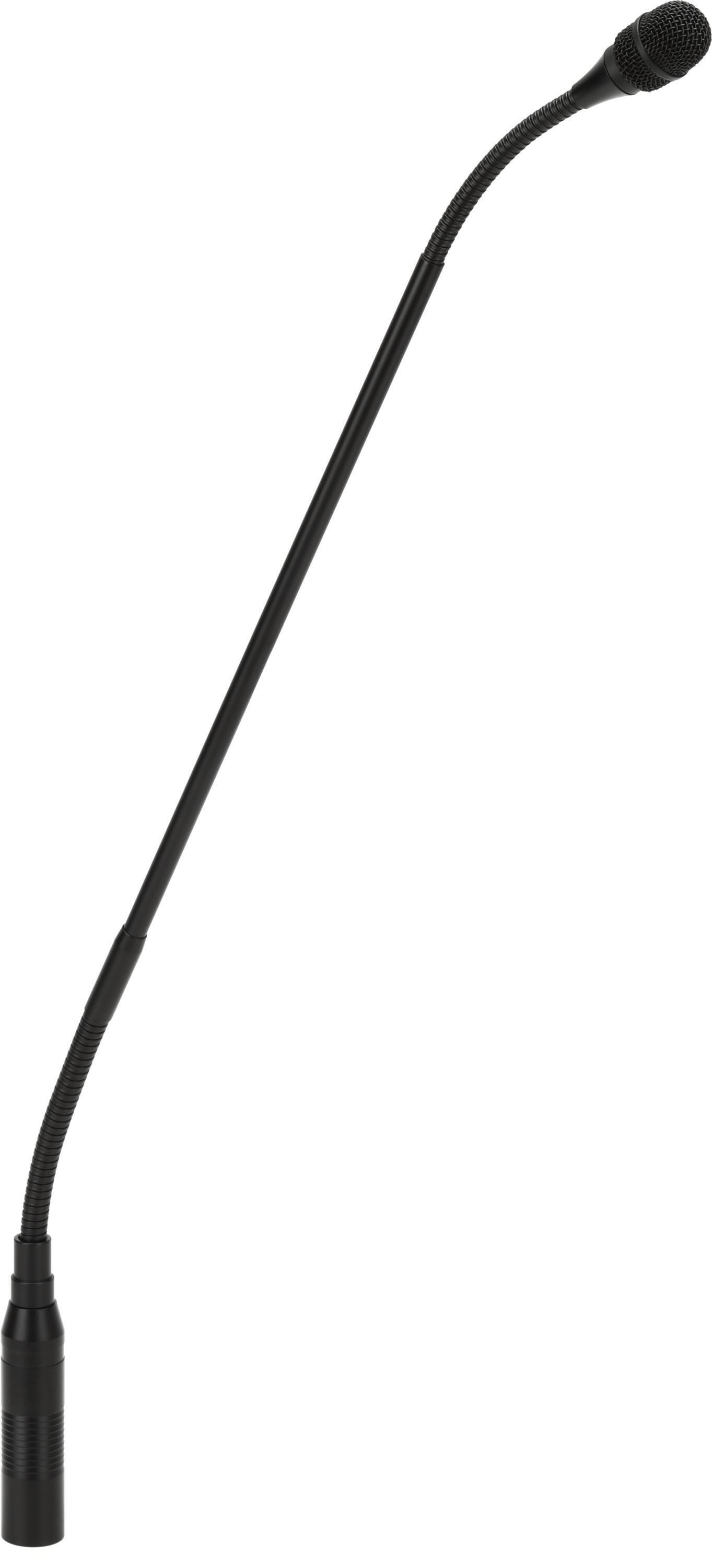 Photo of Acacia Audio LIZ-Gooseneck 20-inch Gooseneck Condenser Microphone