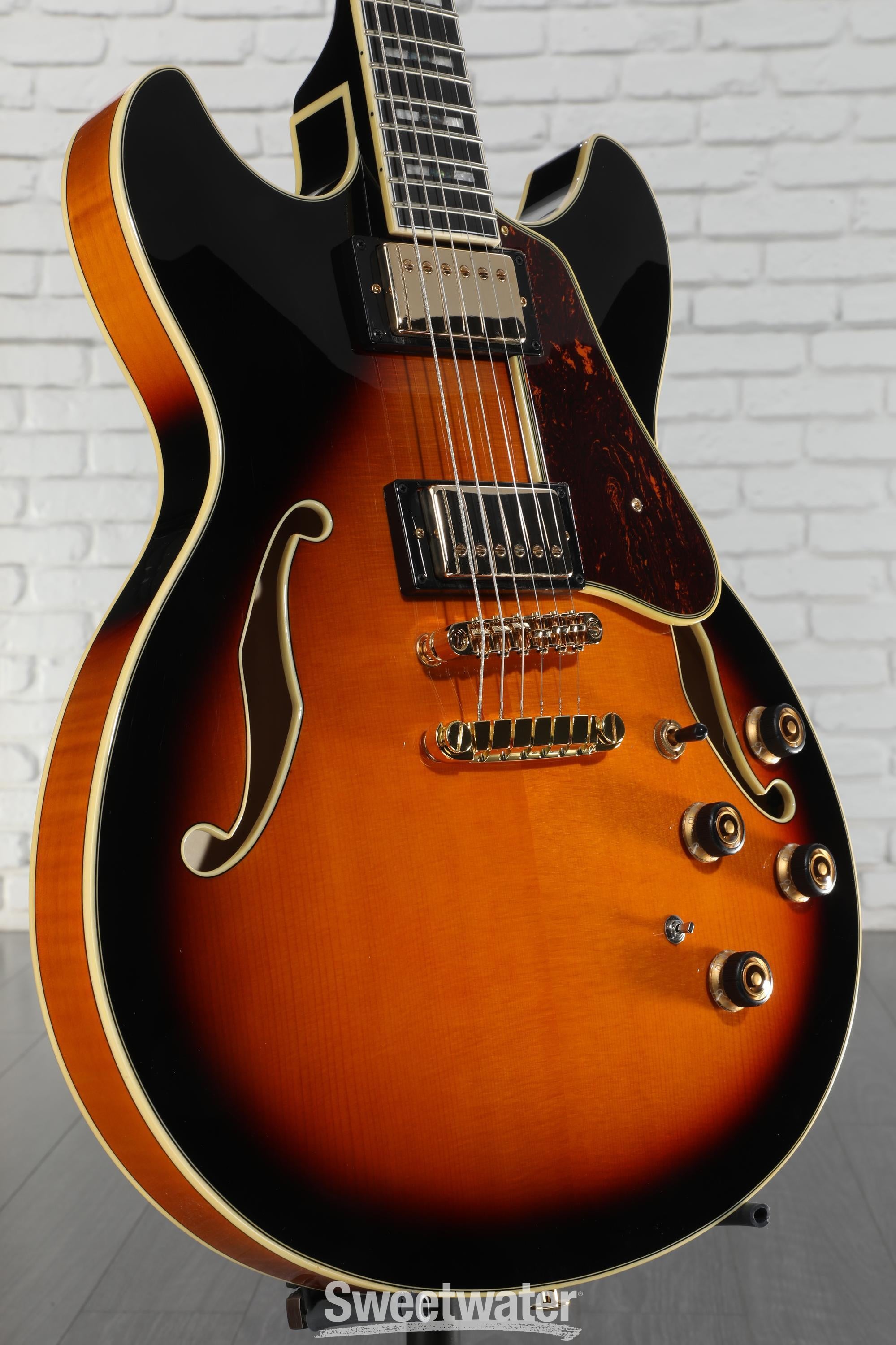 2025年2月購入 Ibanez AS113-BS AS113 | AS | HOLLOW BODIES | PRODUCTS | Ibanez guitars