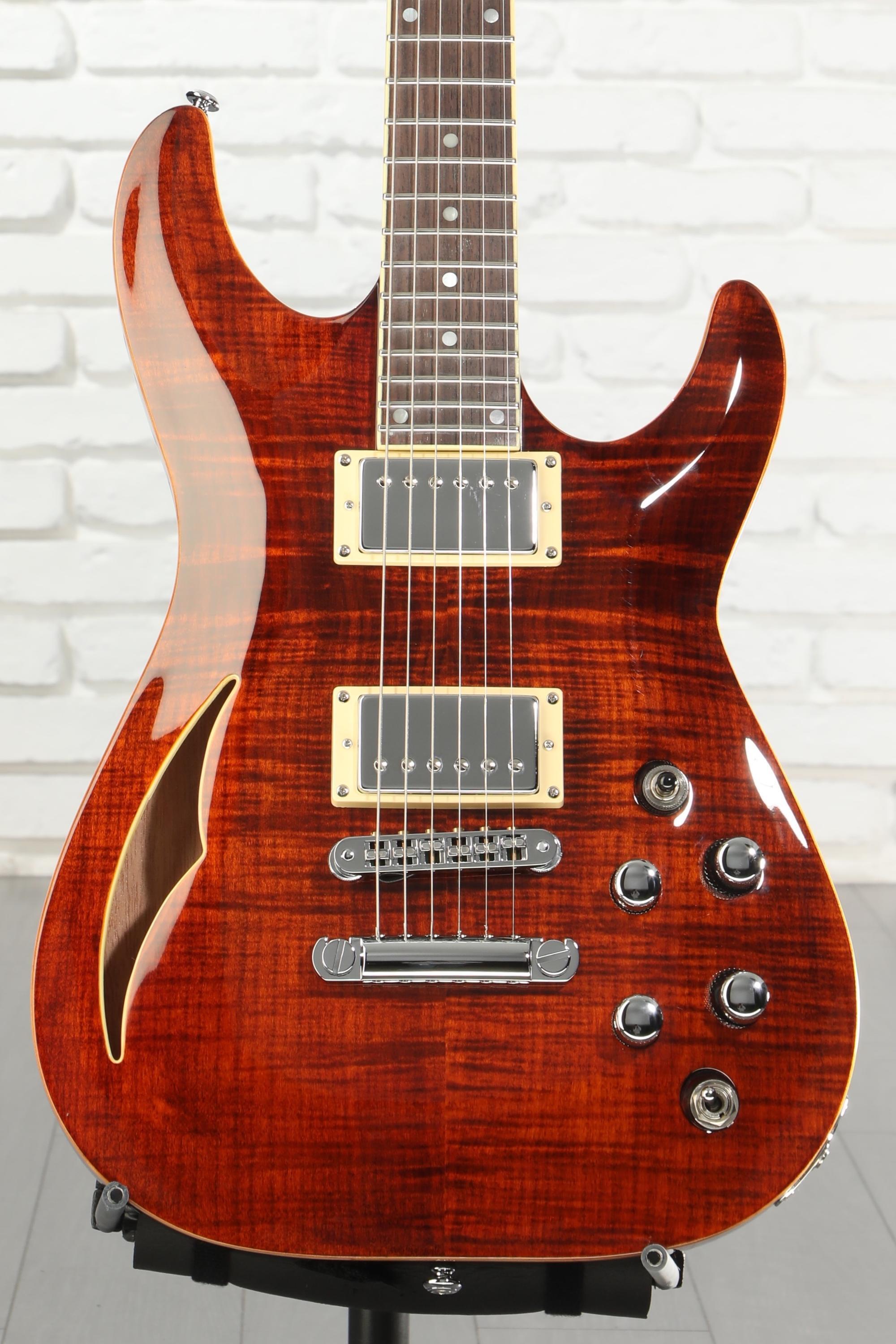 Schecter C-1 E/A Classic Semi-hollowbody Electric Guitar - Cats