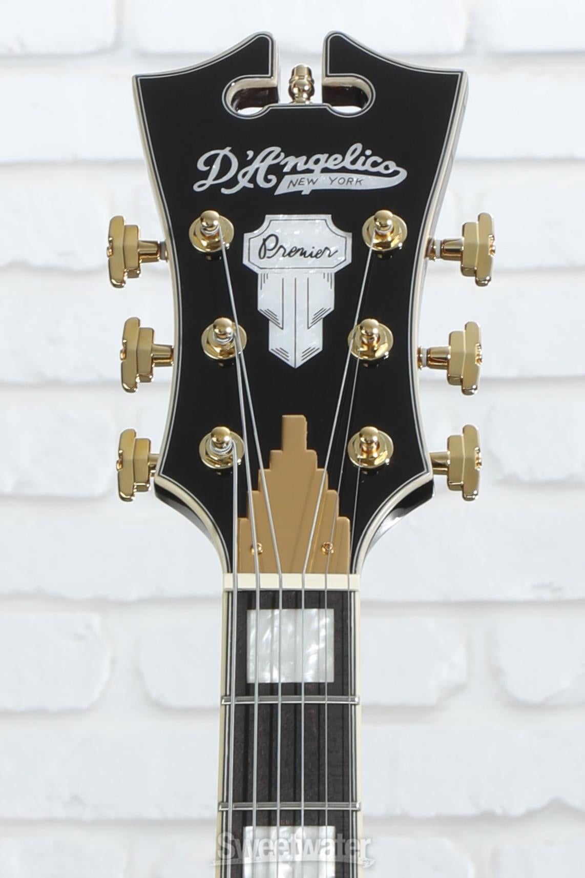 【ノビルさん専用】Ｄ'angelico premier Amazon.com: D'Angelico Premier SS Semi-hollowbody Electric