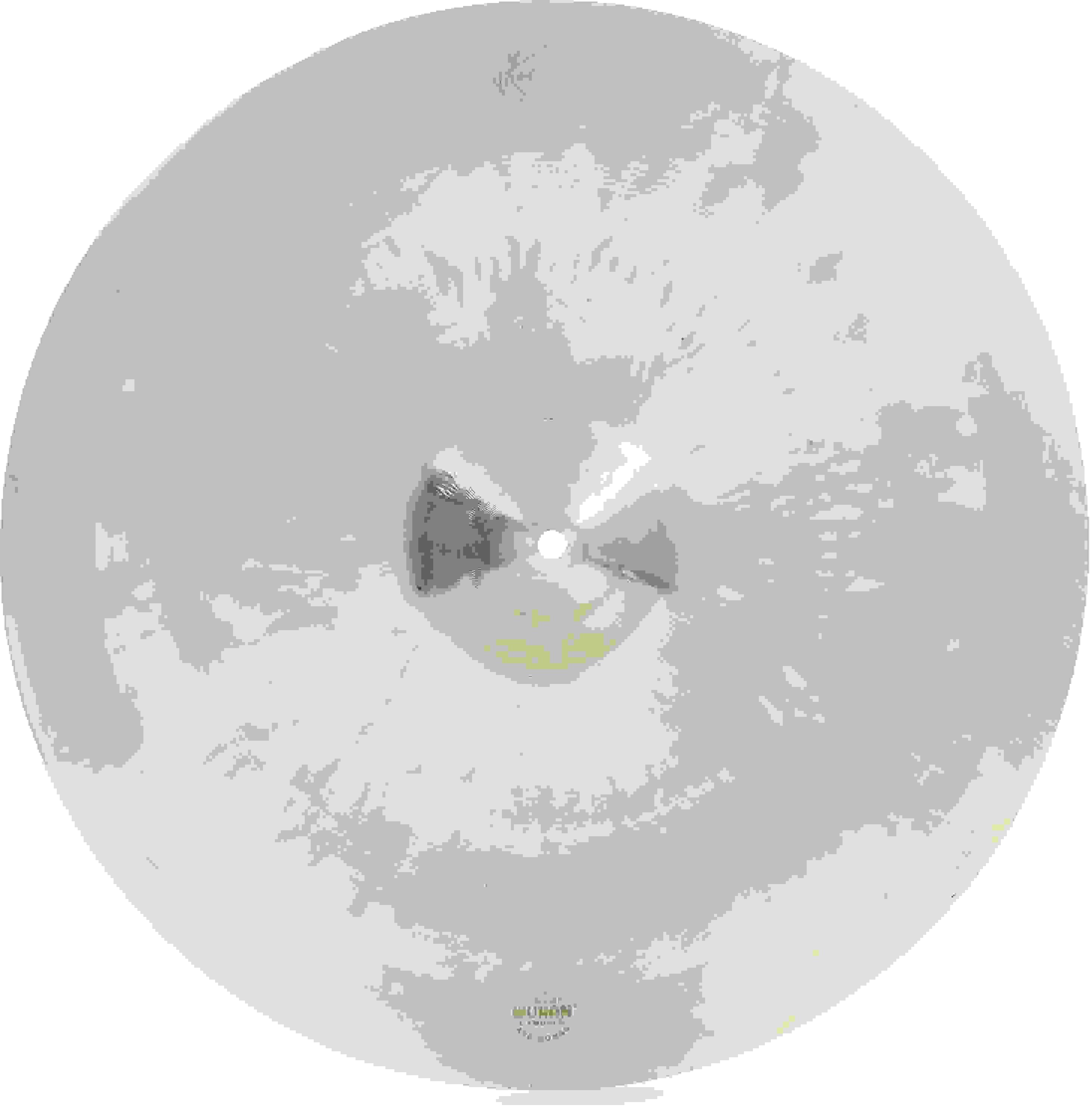 Wuhan 20-inch KOI Conical China Cymbal