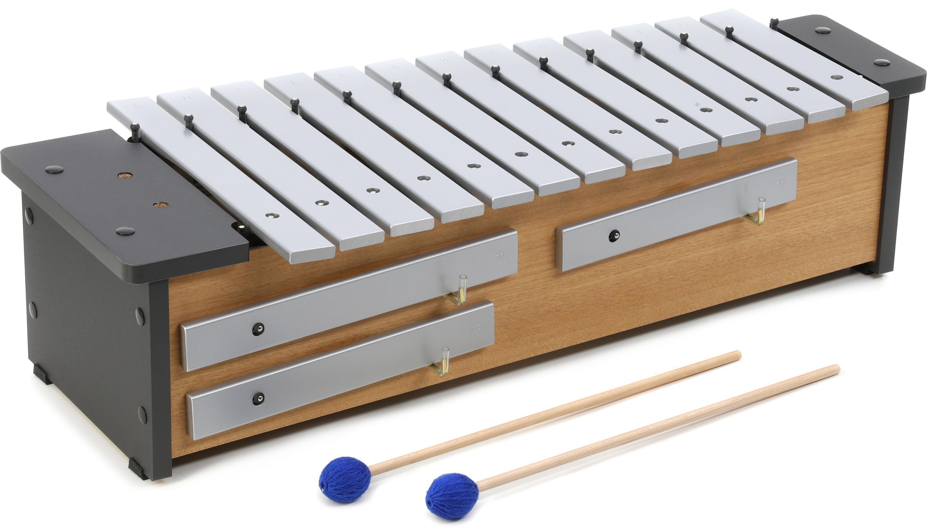 Amazon.com: Latin Percussion LP209 Vibra Slap Ii Deluxe