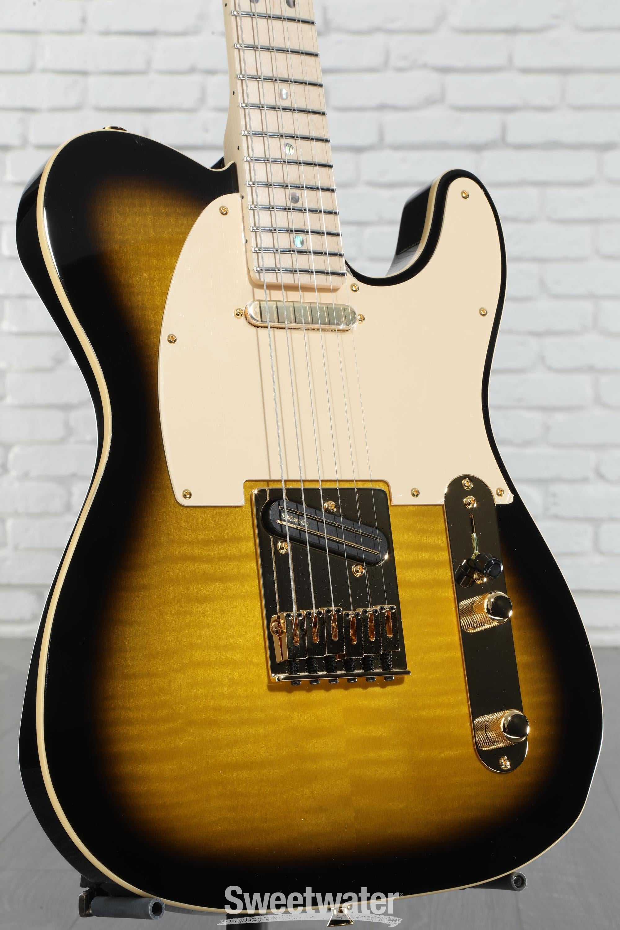 Fender Richie Kotzen Signature Telecaster | Reverb Canada