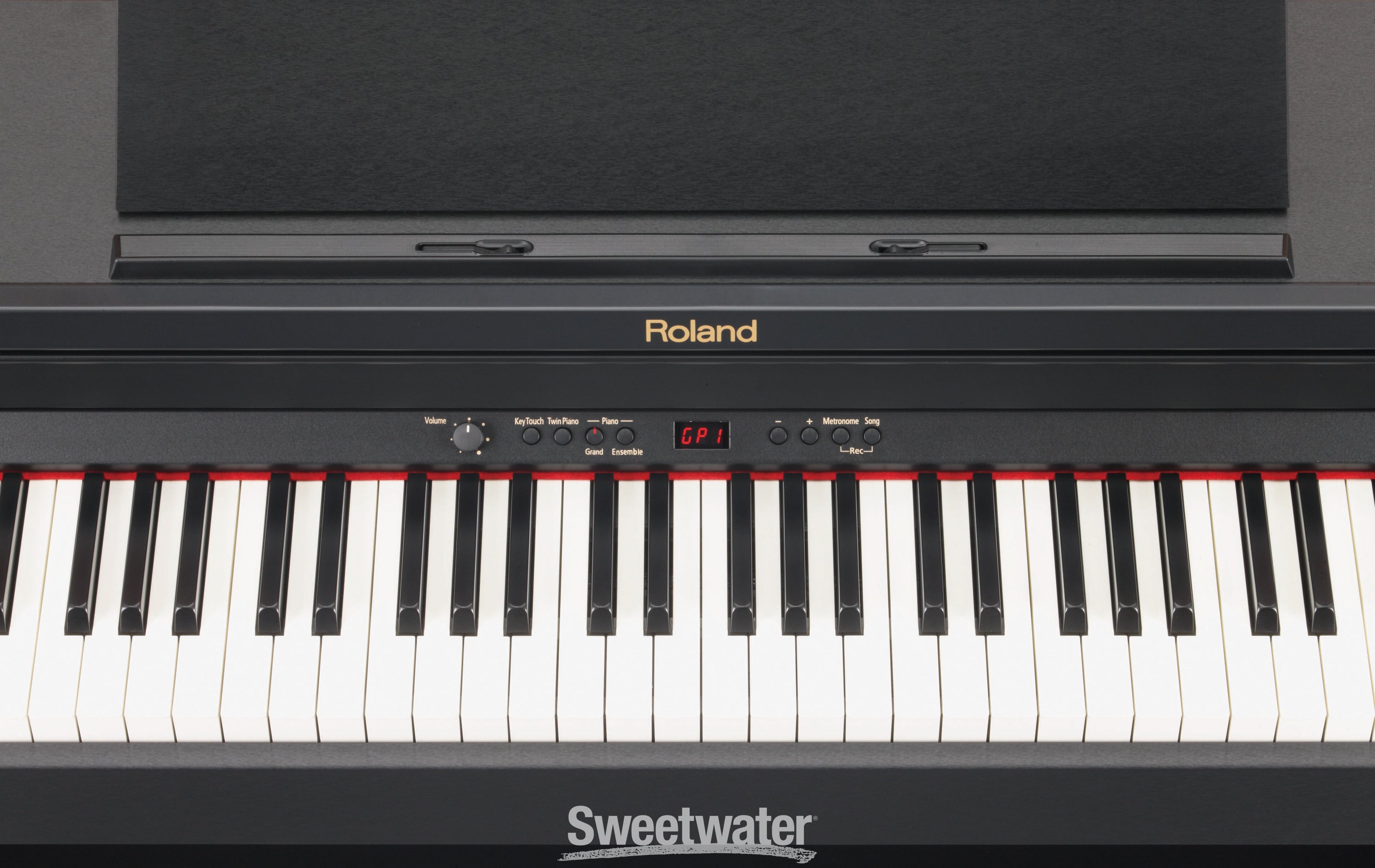 Roland RP-301 - Satin Black | Sweetwater