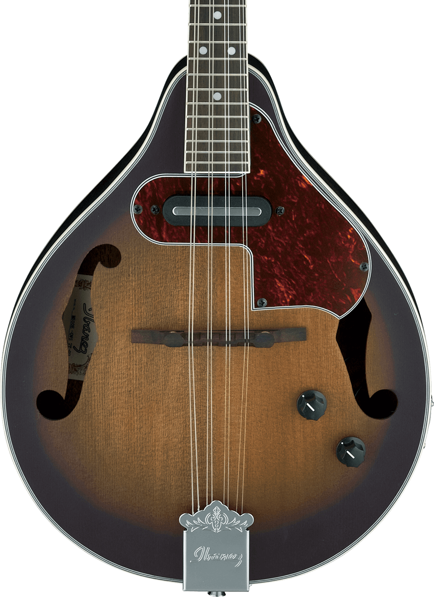 ibanez アイバニーズ マンドリン M510DVS 海外インポート ケース付 ibanez アイバニーズ マンドリン M510DVS 海外インポート ケース