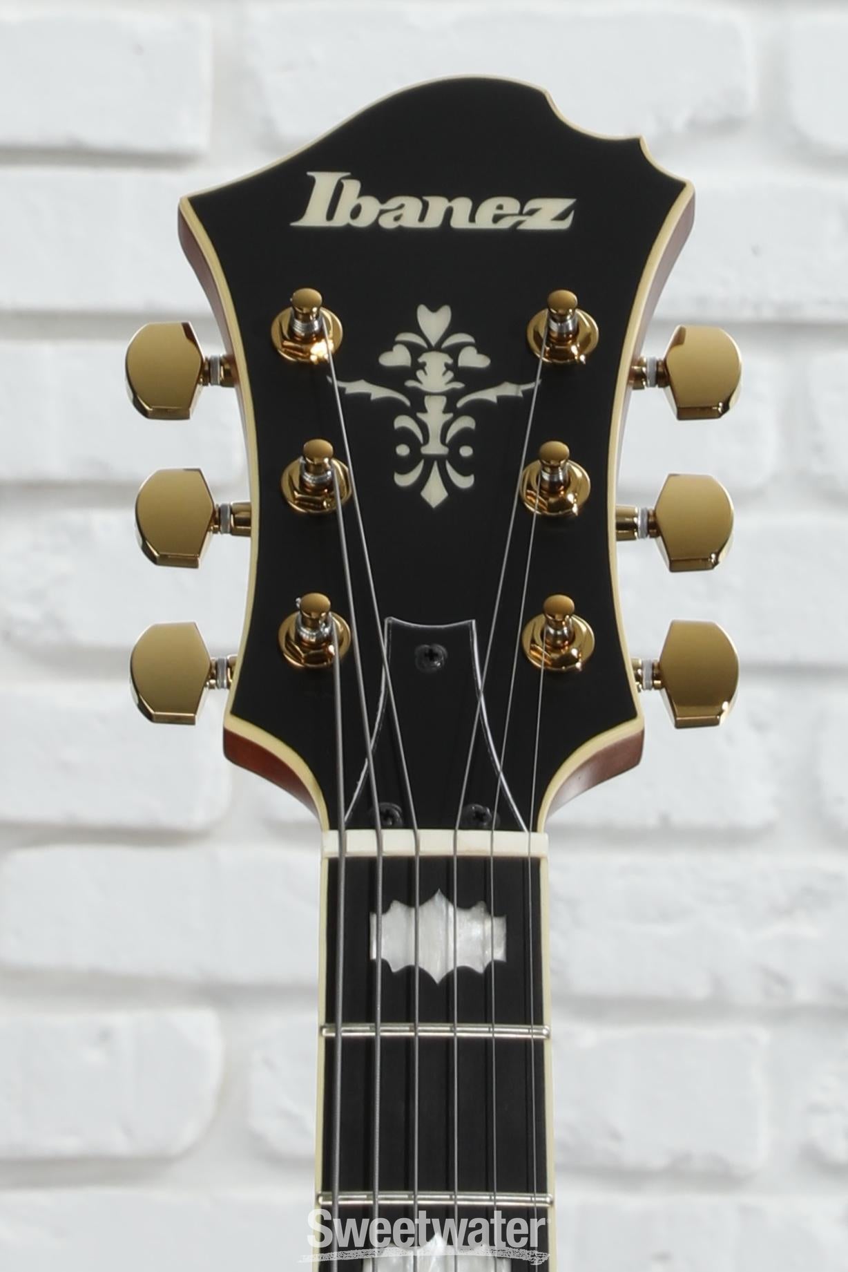 Ibanez PM3C Pat Metheny Signature Hollowbody Electric Guitar