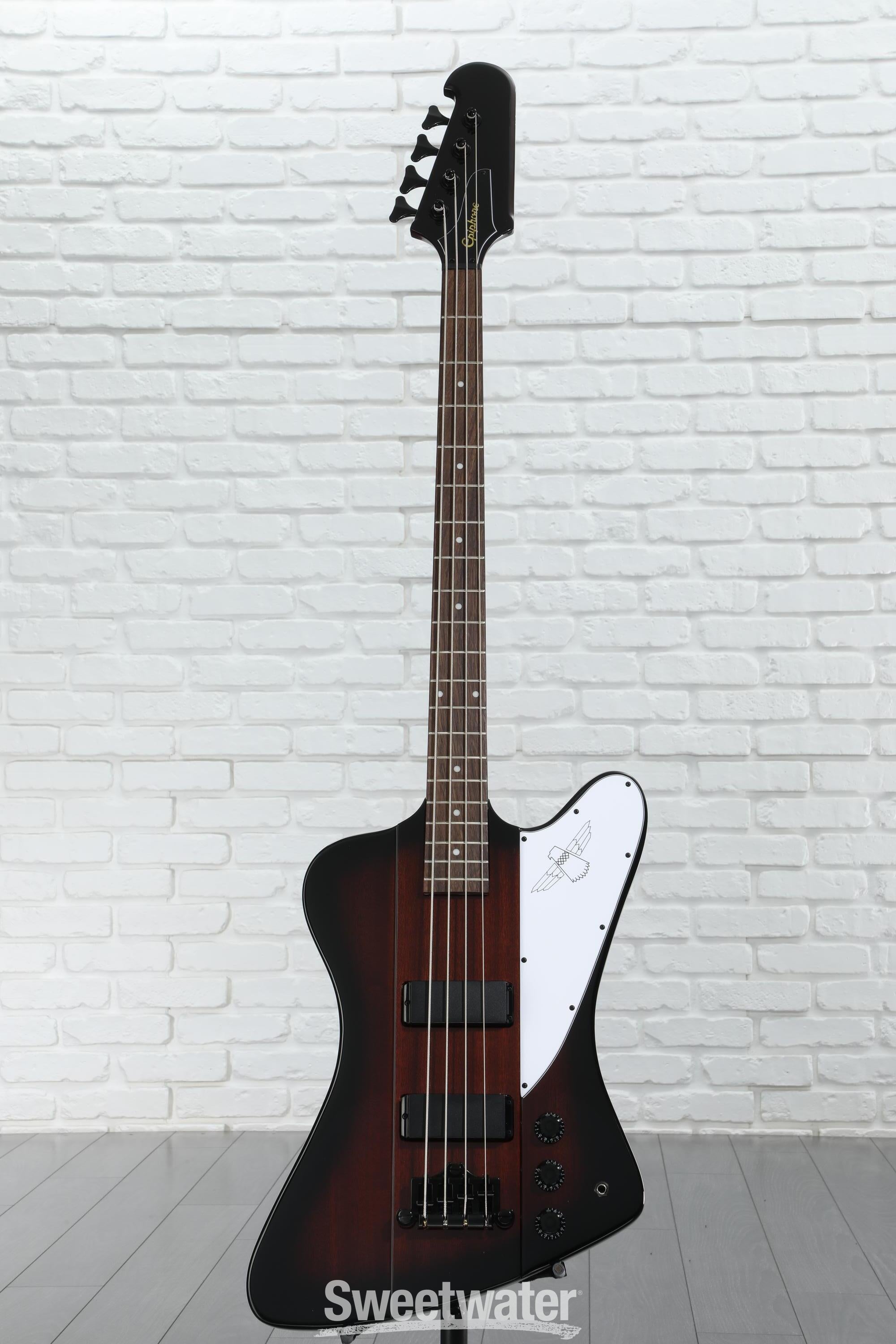 Amazon.com: Epiphone Thunderbird 64 Bass, Silver Mist with