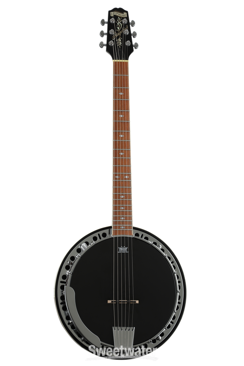 Epiphone stagebird store banjo