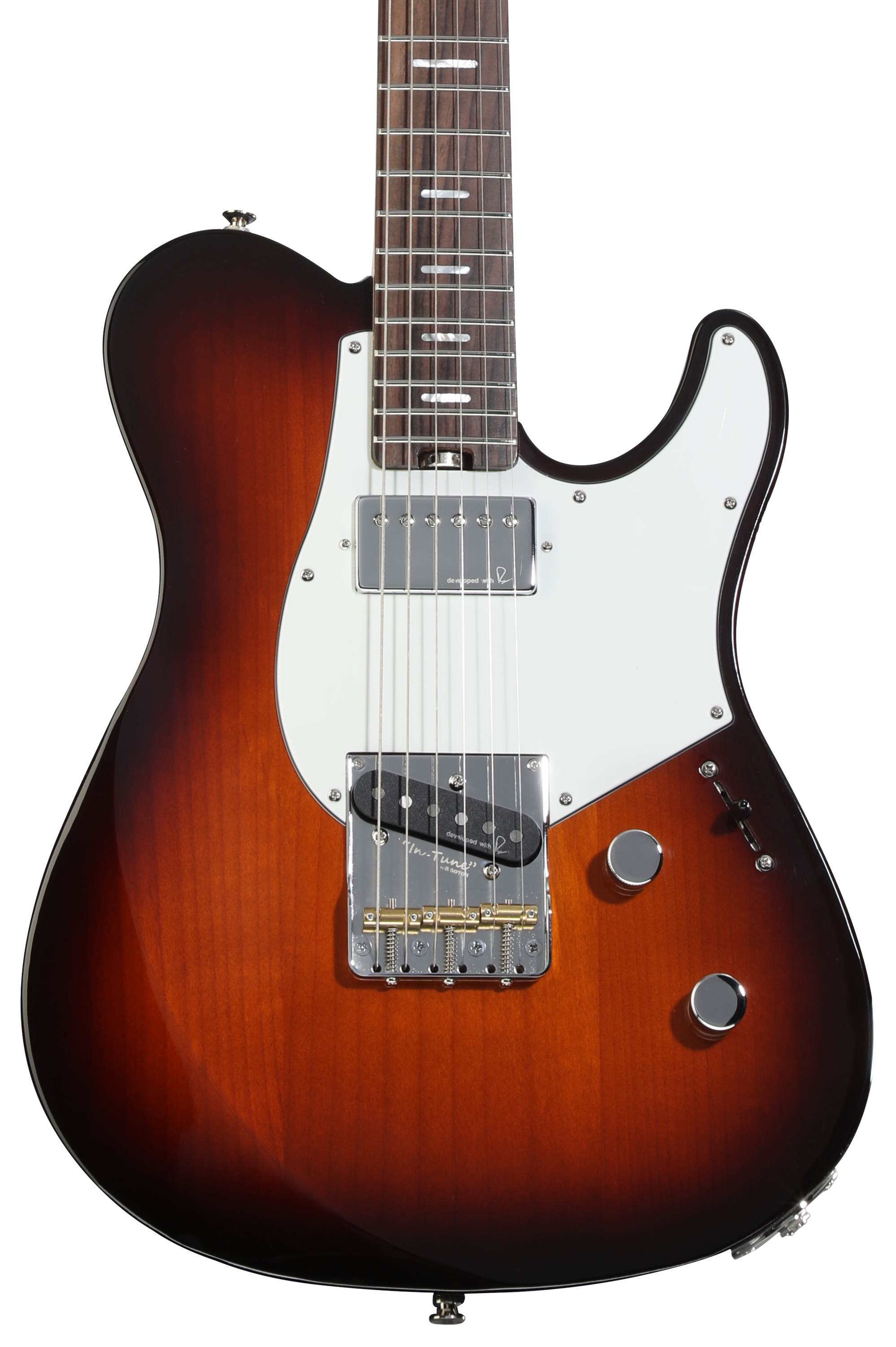 Washburn Nuno Bettencourt N24-Nuno Vintage Padauk Electric Guitar