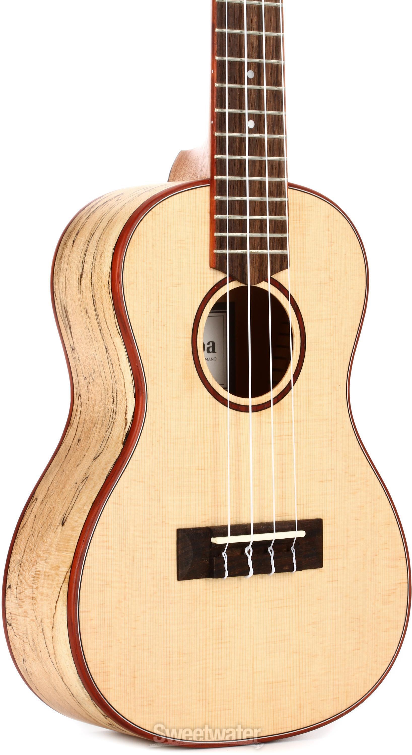 Cordoba 24C Concert Ukulele - Spruce