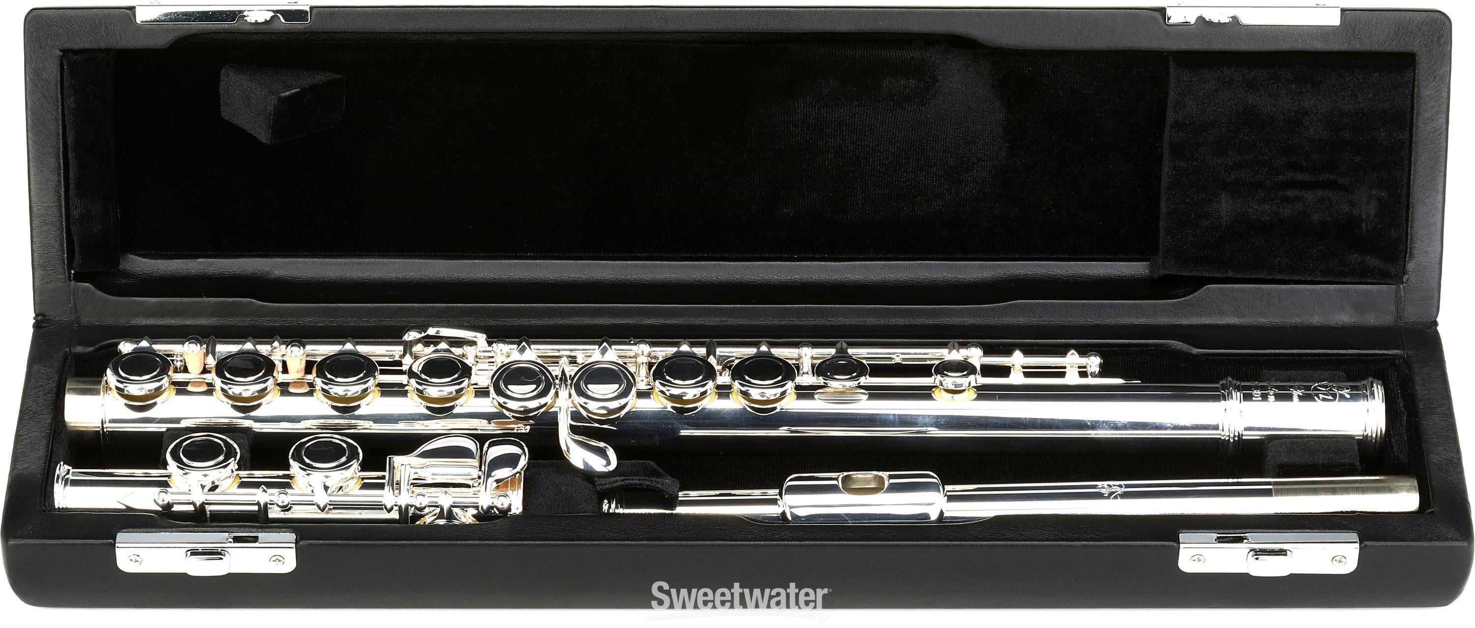Di Zhao Flutes DZ 301 Student Flute with Offset G | Sweetwater