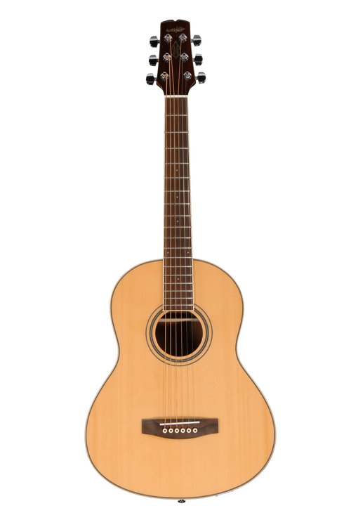 Wechter guitars deals for sale