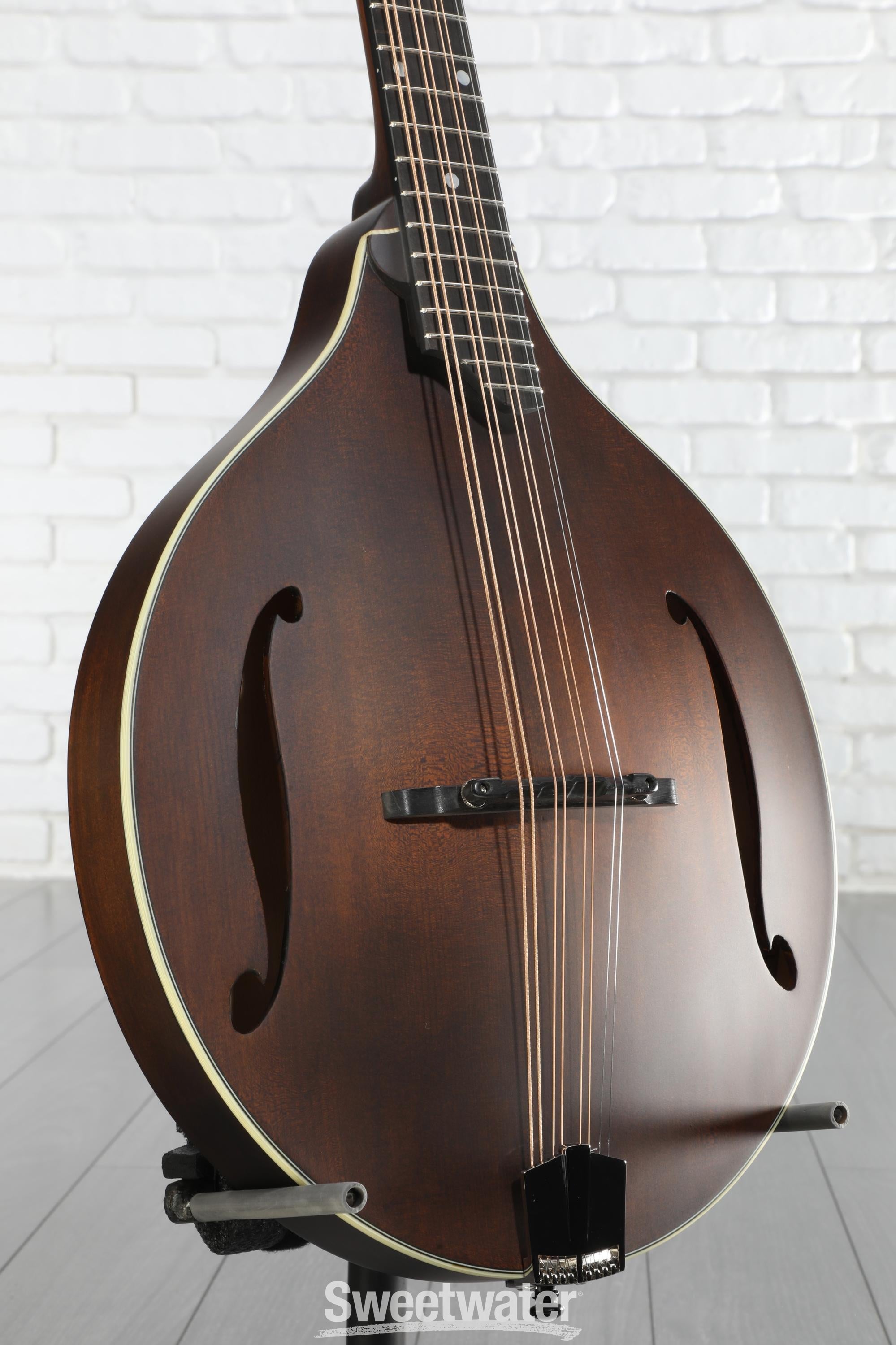 Eastman Guitars MDO305 A-style Octave Mandolin - Classic | Sweetwater