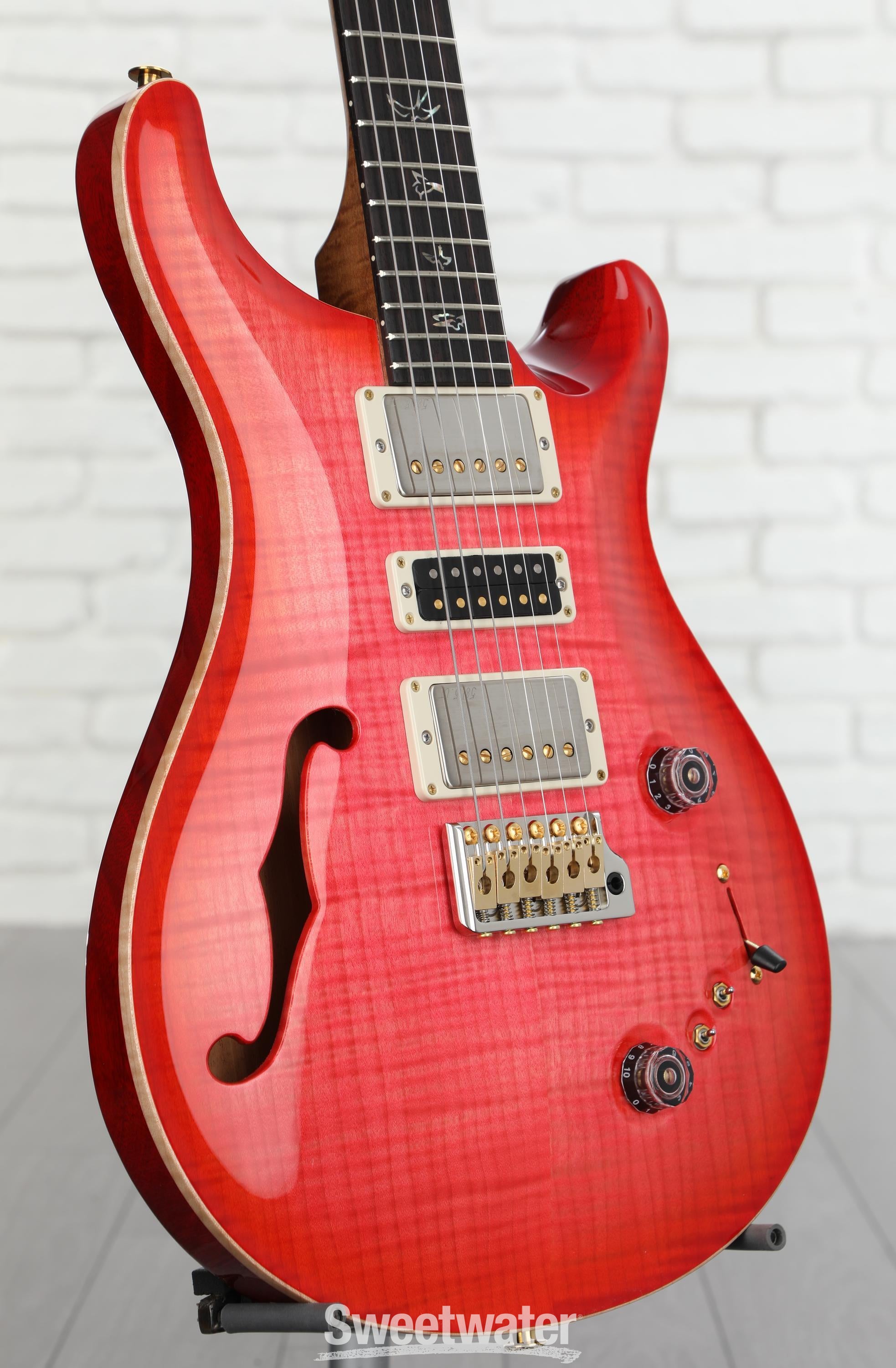 Paul Reed Smith(PRS) 2011 Wood Library Custom 22 Wide Fat