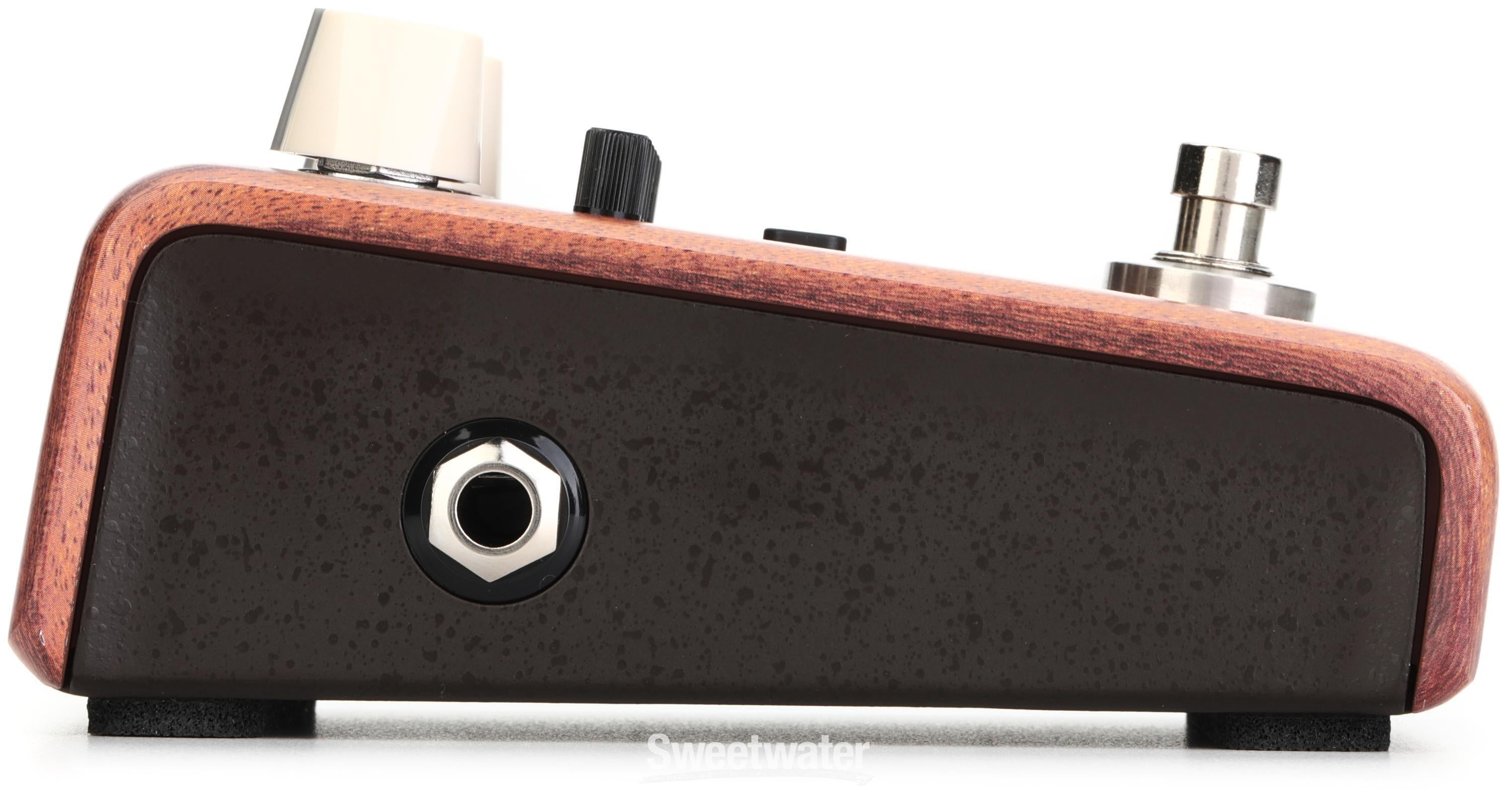 LR Baggs Align Equalizer Acoustic EQ Pedal Reviews | Sweetwater