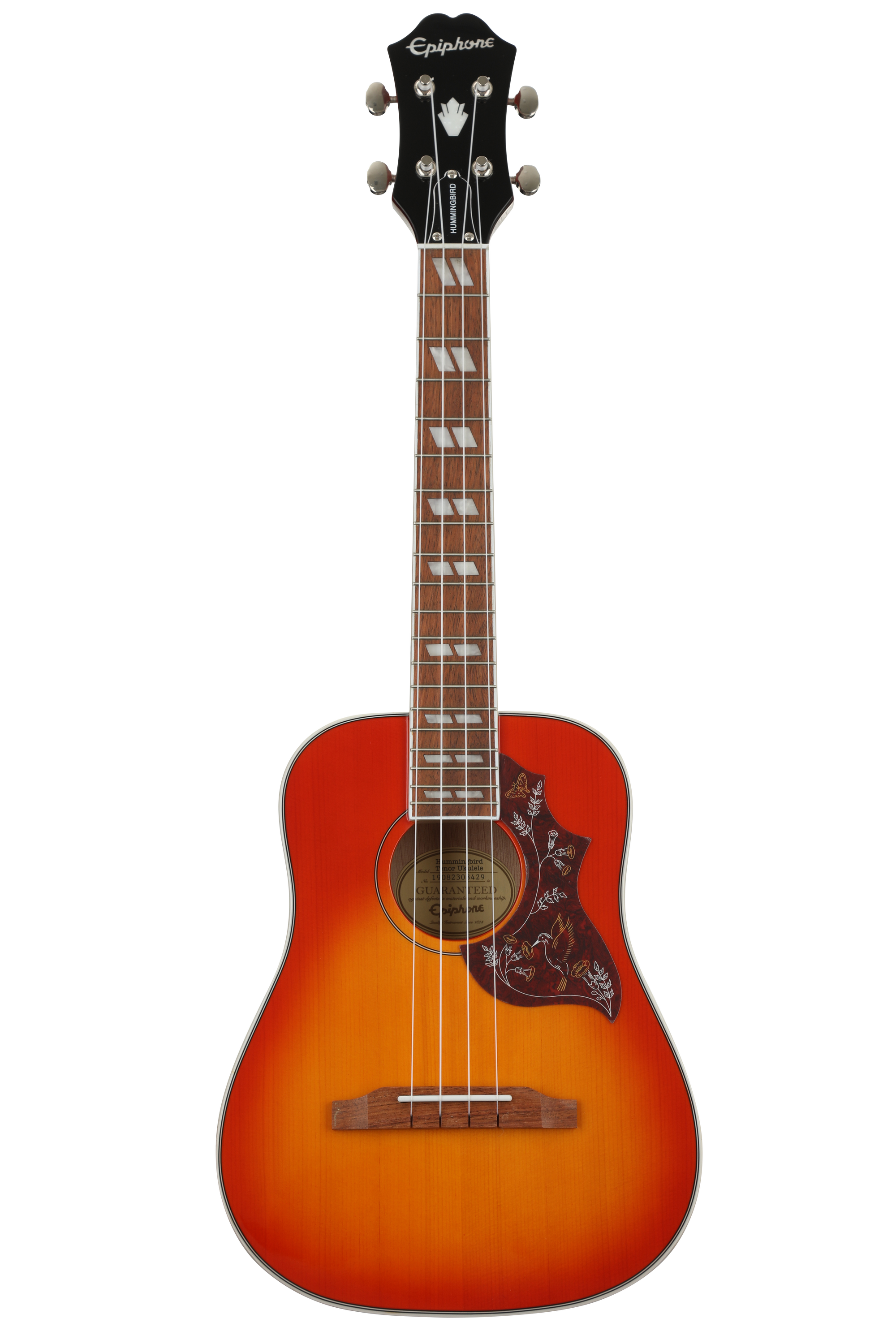 Epiphone bird deals