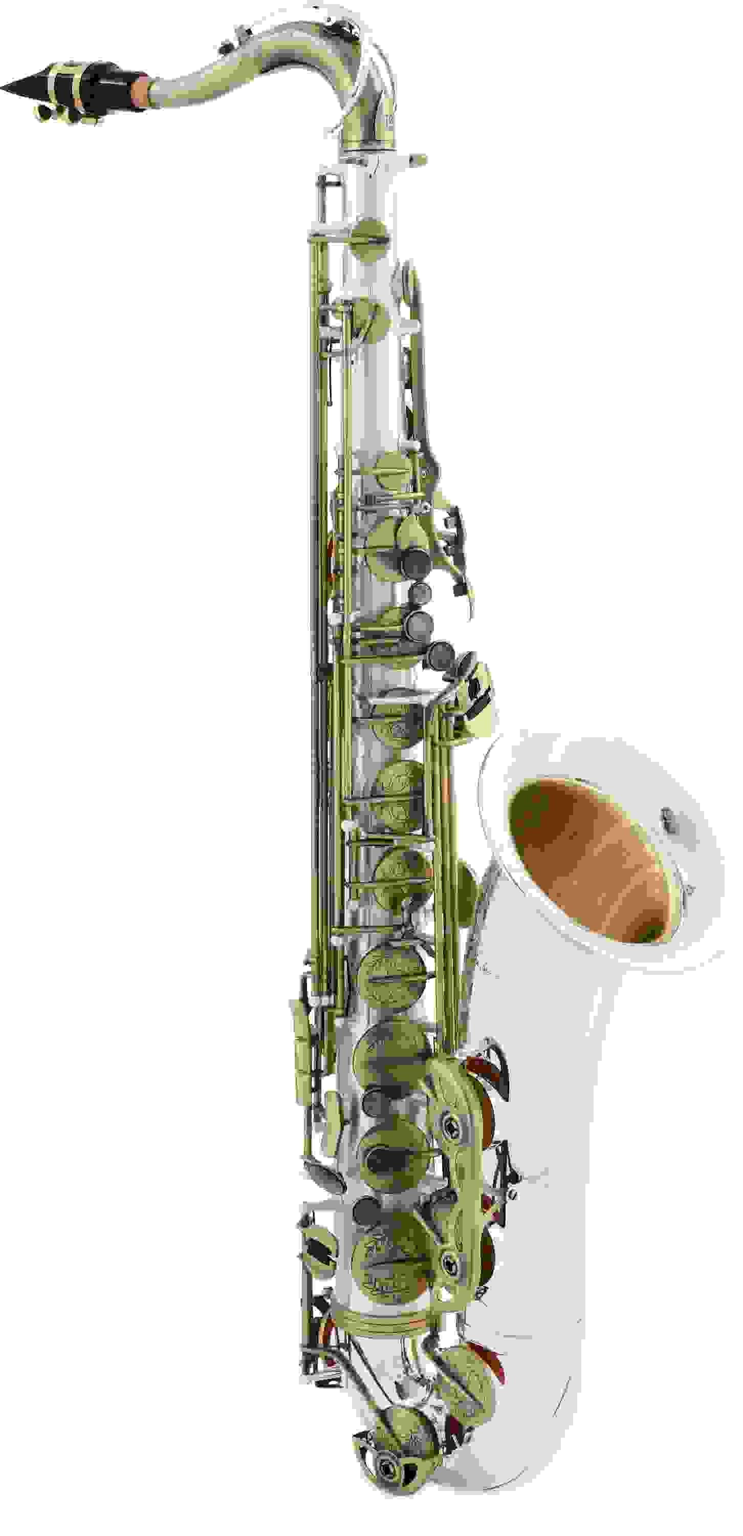 Growling Sax Roar Professional Tenor Saxophone - Dull Silver Body, Antiqued Keys And Key Guards, Silver-plated Bell and Bow