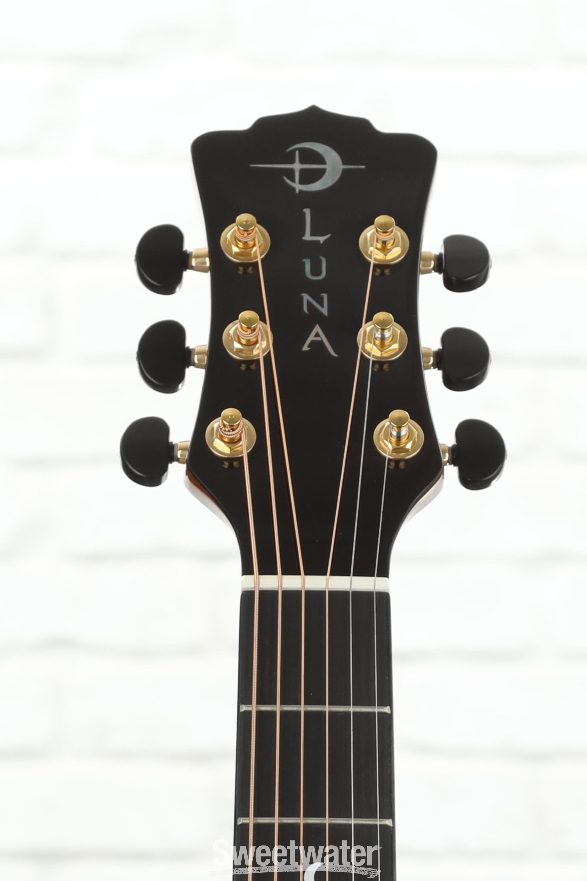 ギター LUNA GUITARS VISTA EAGLE VISTA EAGLE A/E WITH HARDSHELL CASE