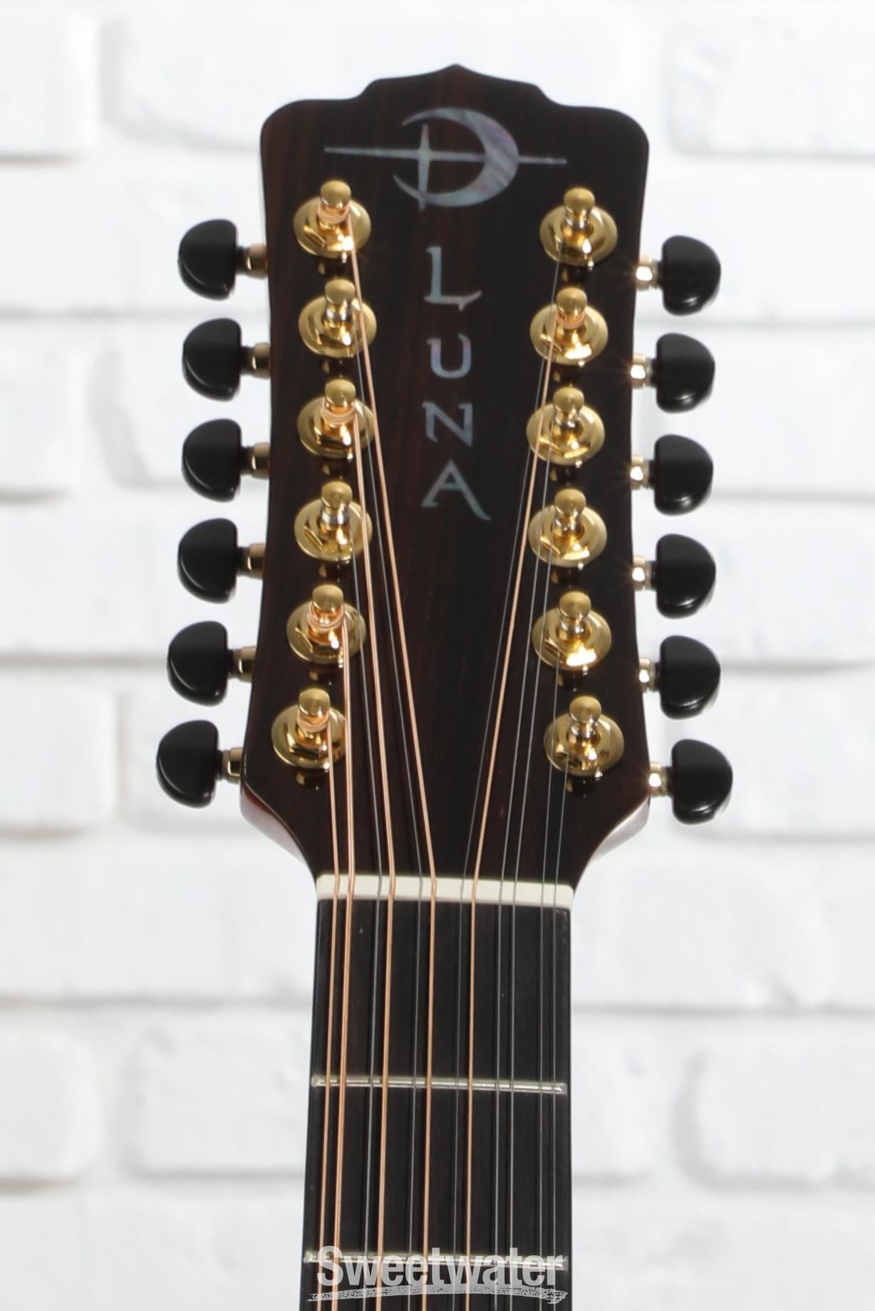 ギター LUNA GUITARS VISTA EAGLE VISTA EAGLE A/E WITH HARDSHELL CASE